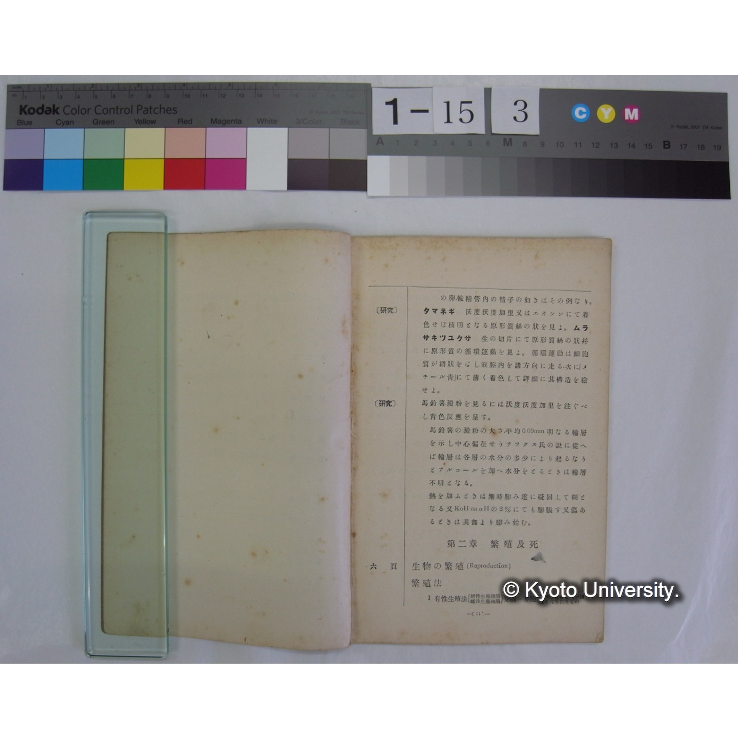 博物通論新教科書教授資料 / 川村多實二著 (3)