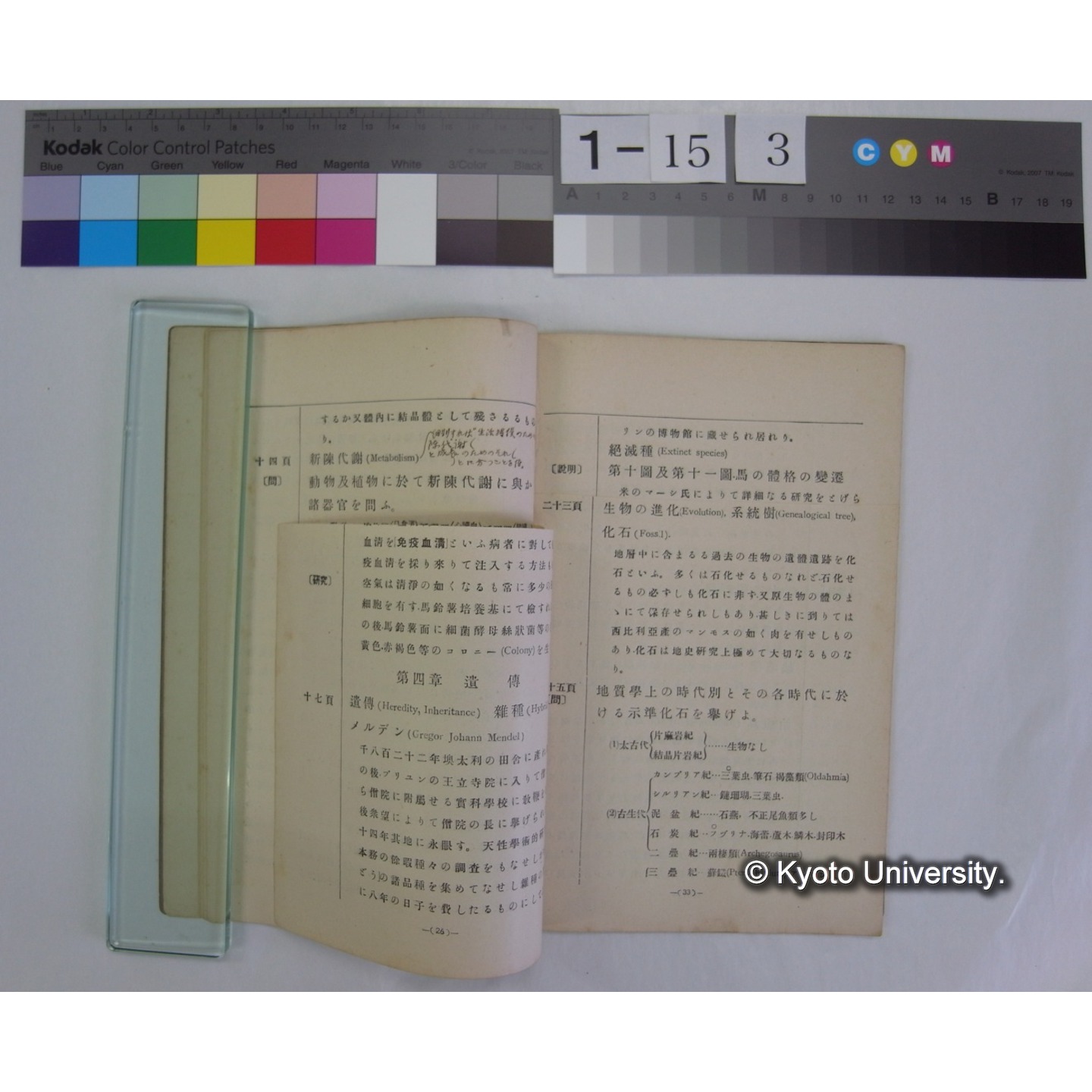 博物通論新教科書教授資料 / 川村多實二著 (5)