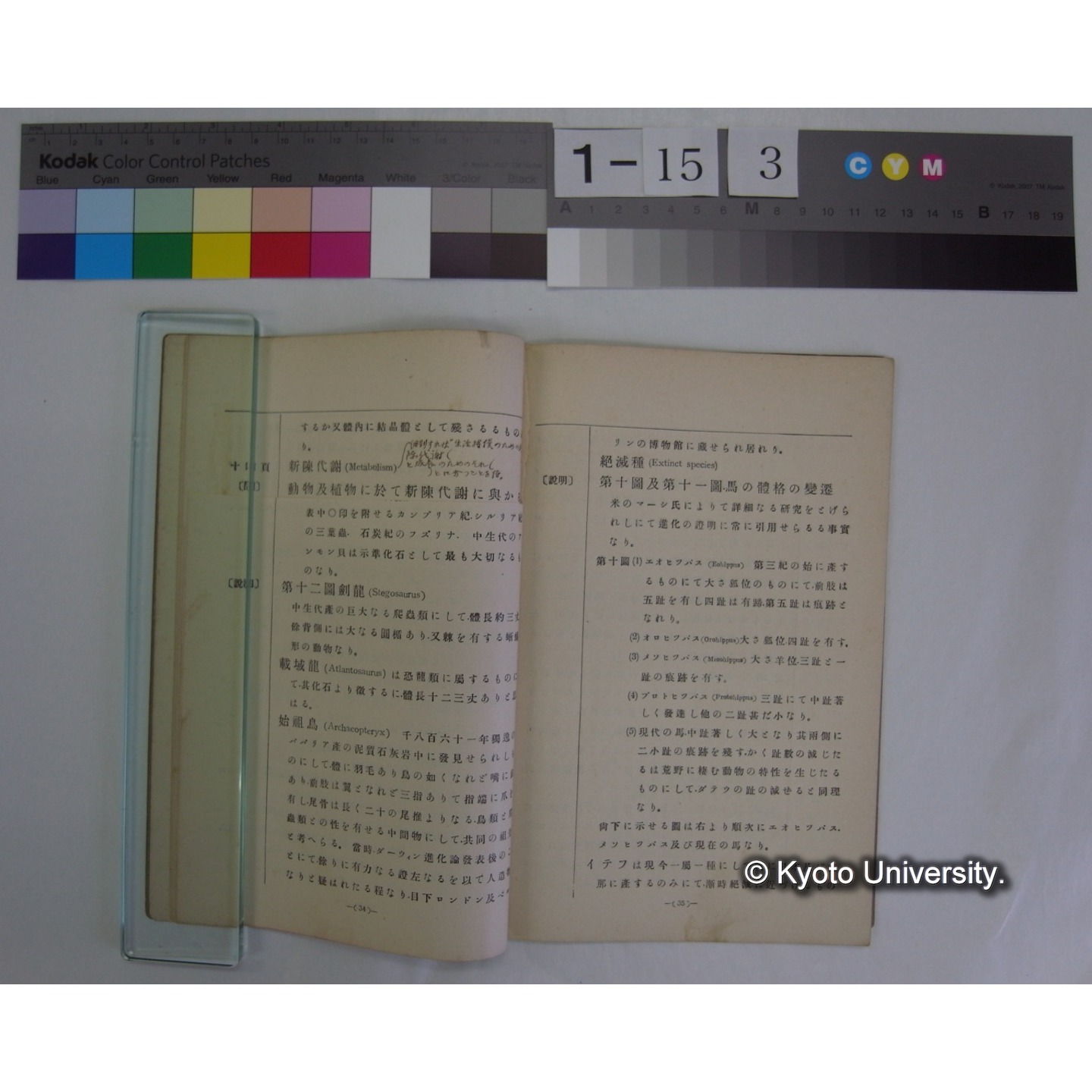 博物通論新教科書教授資料 / 川村多實二著 (6)