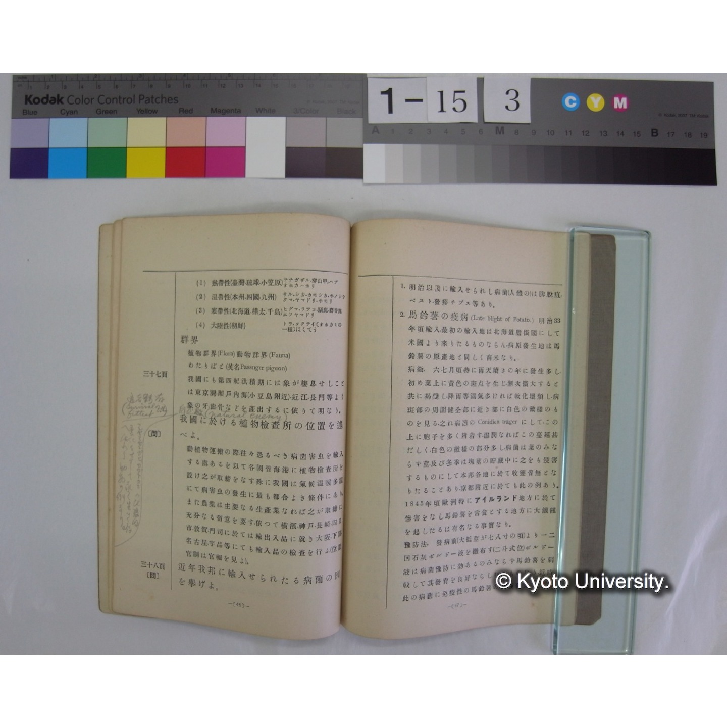 博物通論新教科書教授資料 / 川村多實二著 (7)