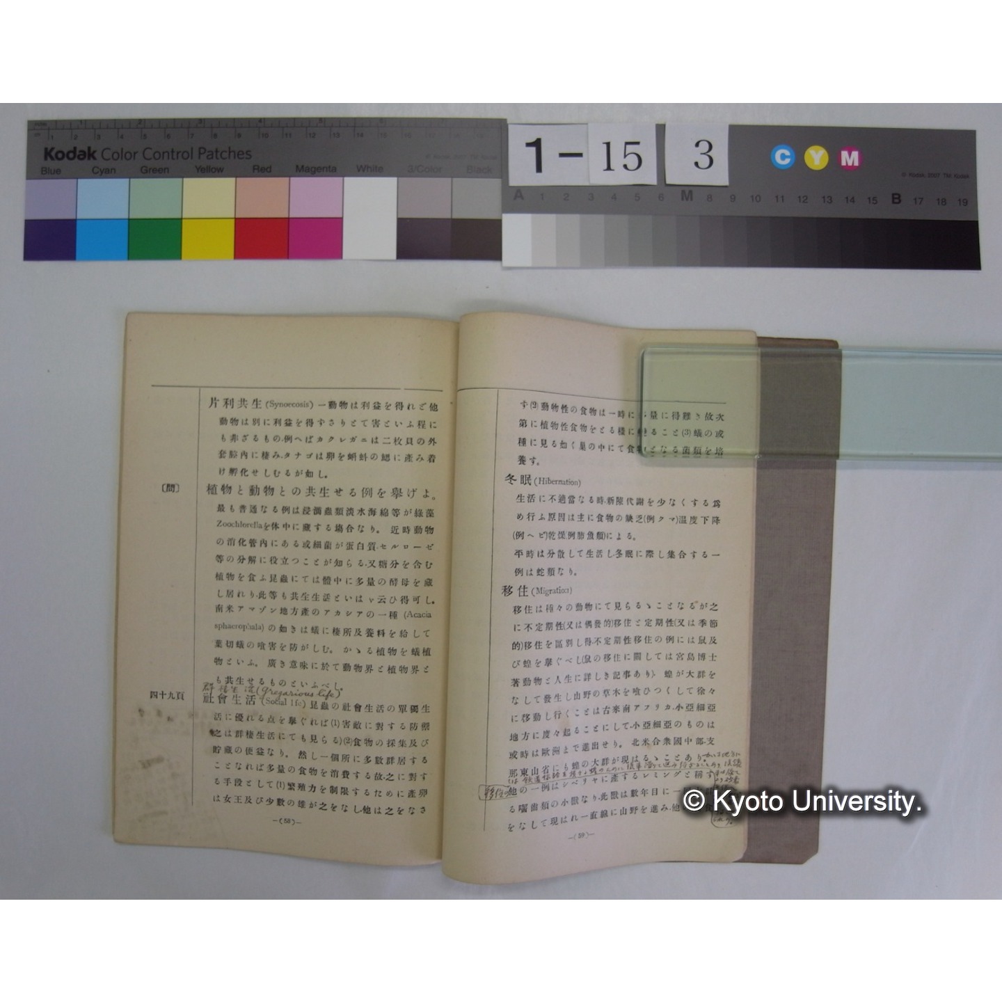 博物通論新教科書教授資料 / 川村多實二著 (8)