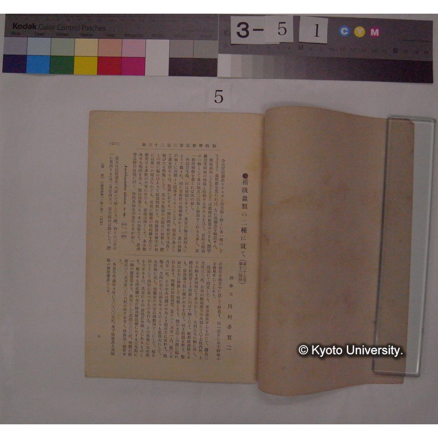 楯吸虫類の二種に就て (動物学雑誌; 27巻323号 抜刷) (2)