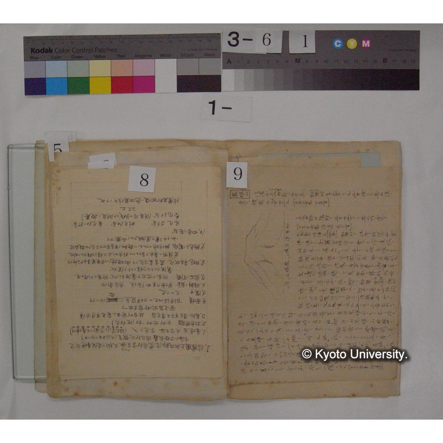 書簡・資料等(「天狗の麦飯」に関する資料) (11)