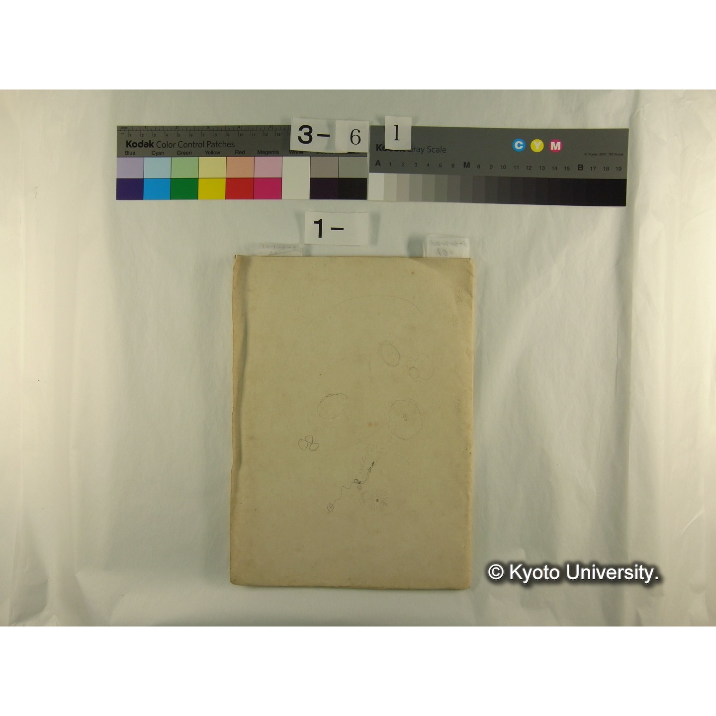 書簡・資料等(「天狗の麦飯」に関する資料) (17)