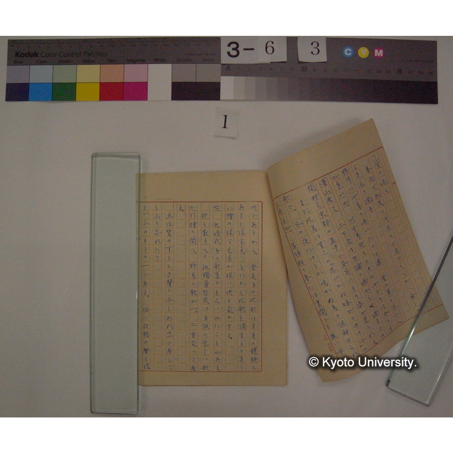 女流歌人と野鳥 / (川村多實二) [校正原稿および直筆資料] (8)