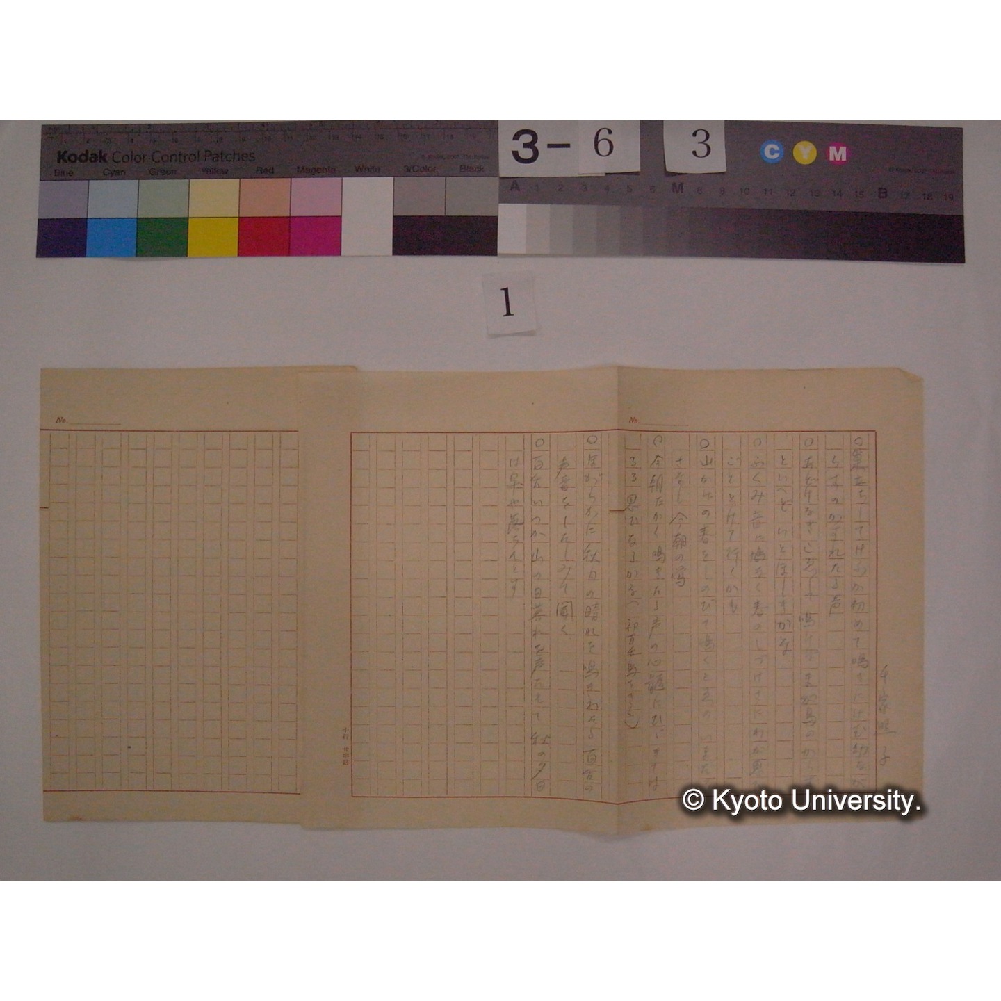 女流歌人と野鳥 / (川村多實二) [校正原稿および直筆資料] (11)