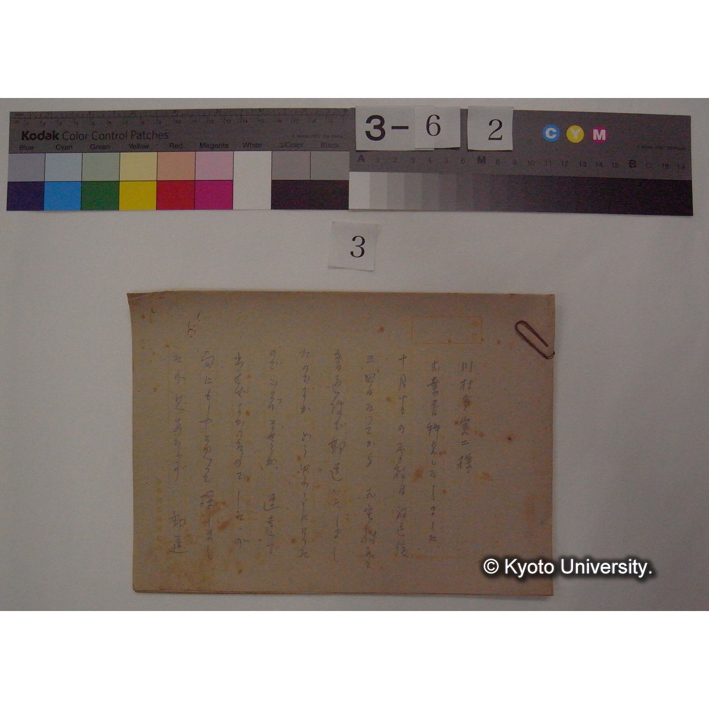 鳥類愛護について / (川村多實二) [原稿写し] (1)