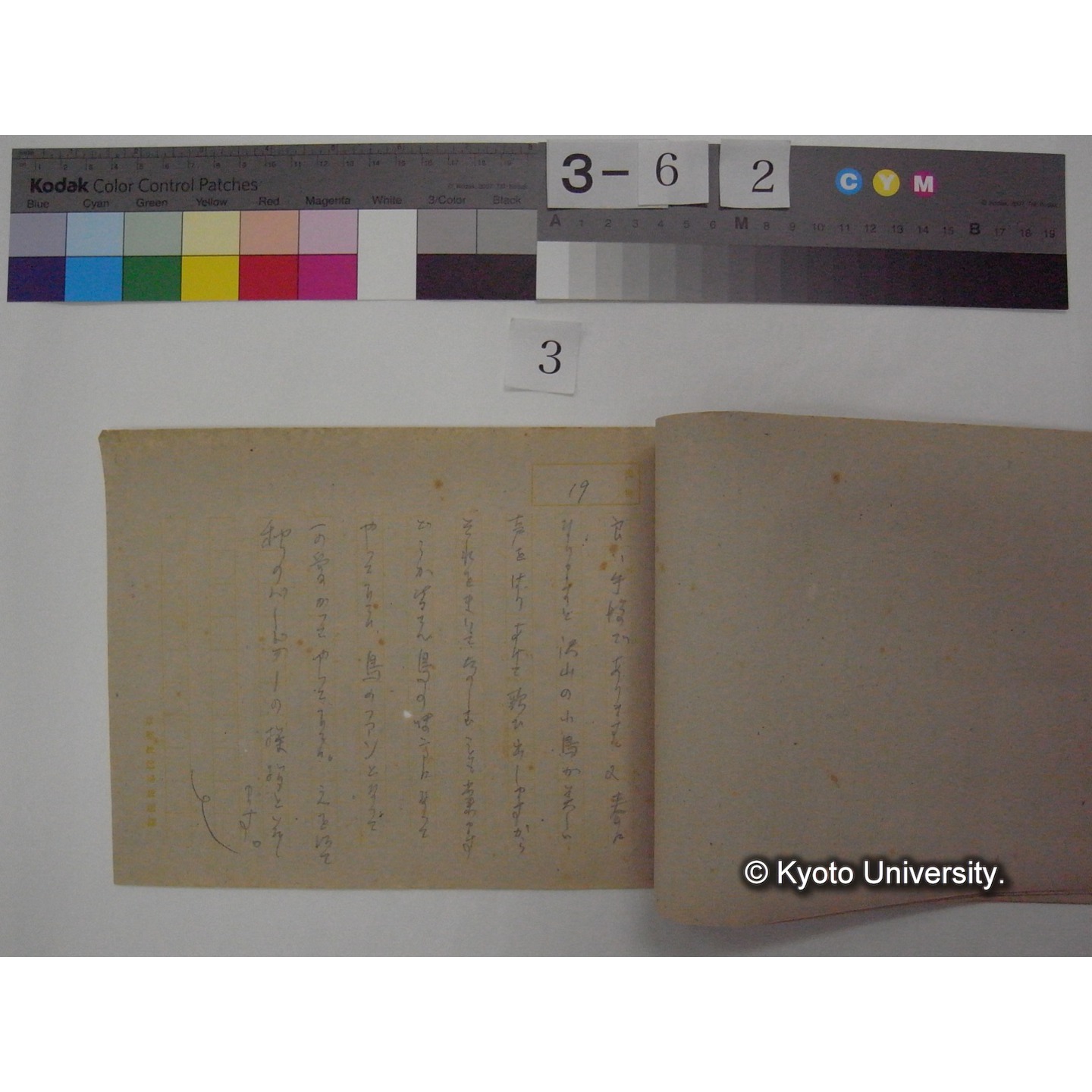 鳥類愛護について / (川村多實二) [原稿写し] (2)