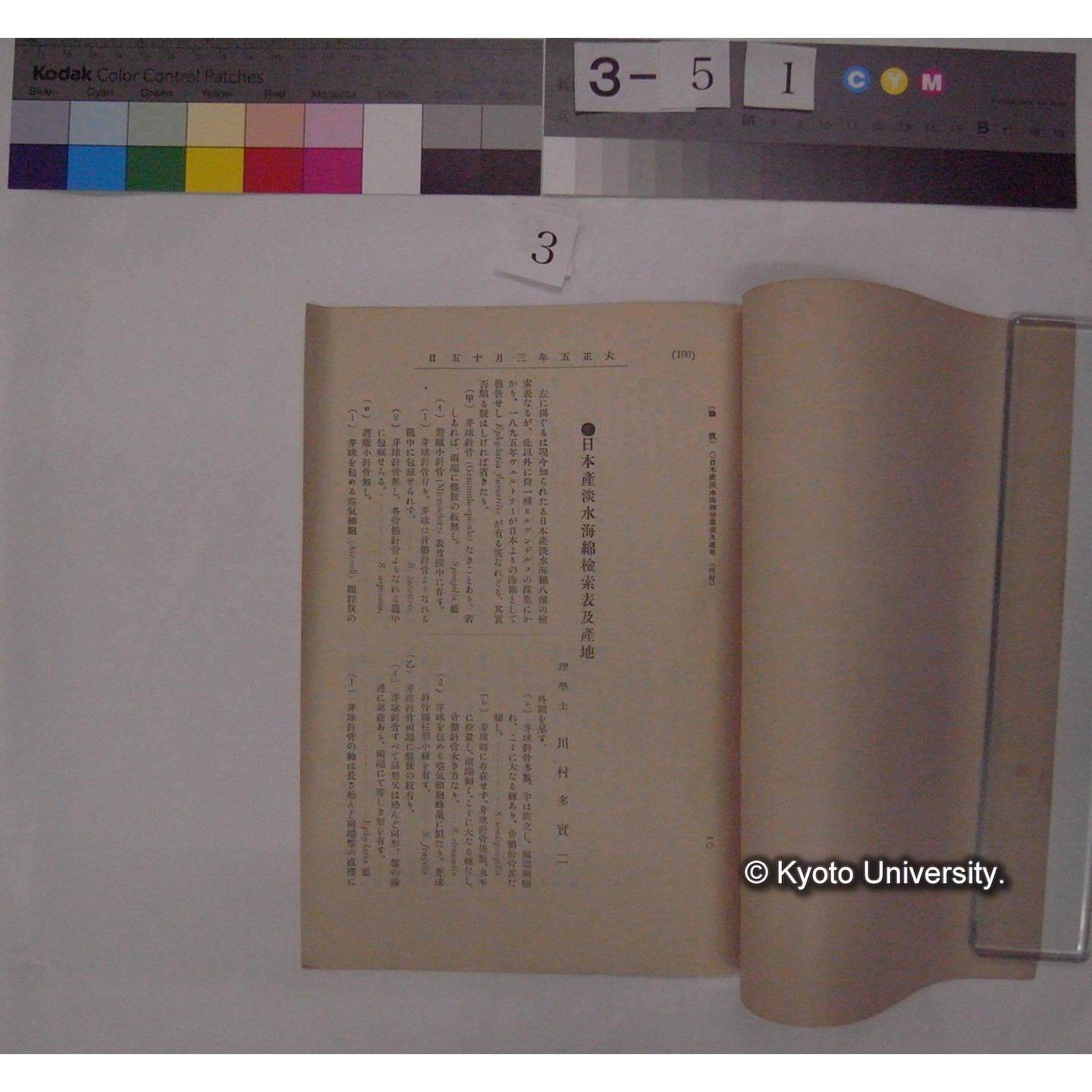 日本産淡水海綿検索表及産地 / 川村多實二 (動物学雑誌28巻329号 抜刷) (2)