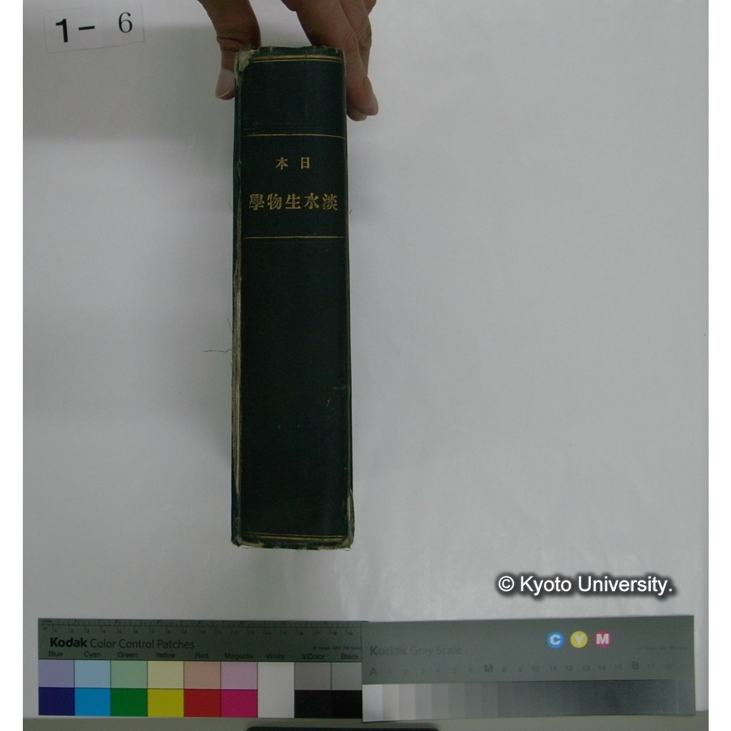 日本淡水生物学 上,下巻 / 川村多實二著 (1)