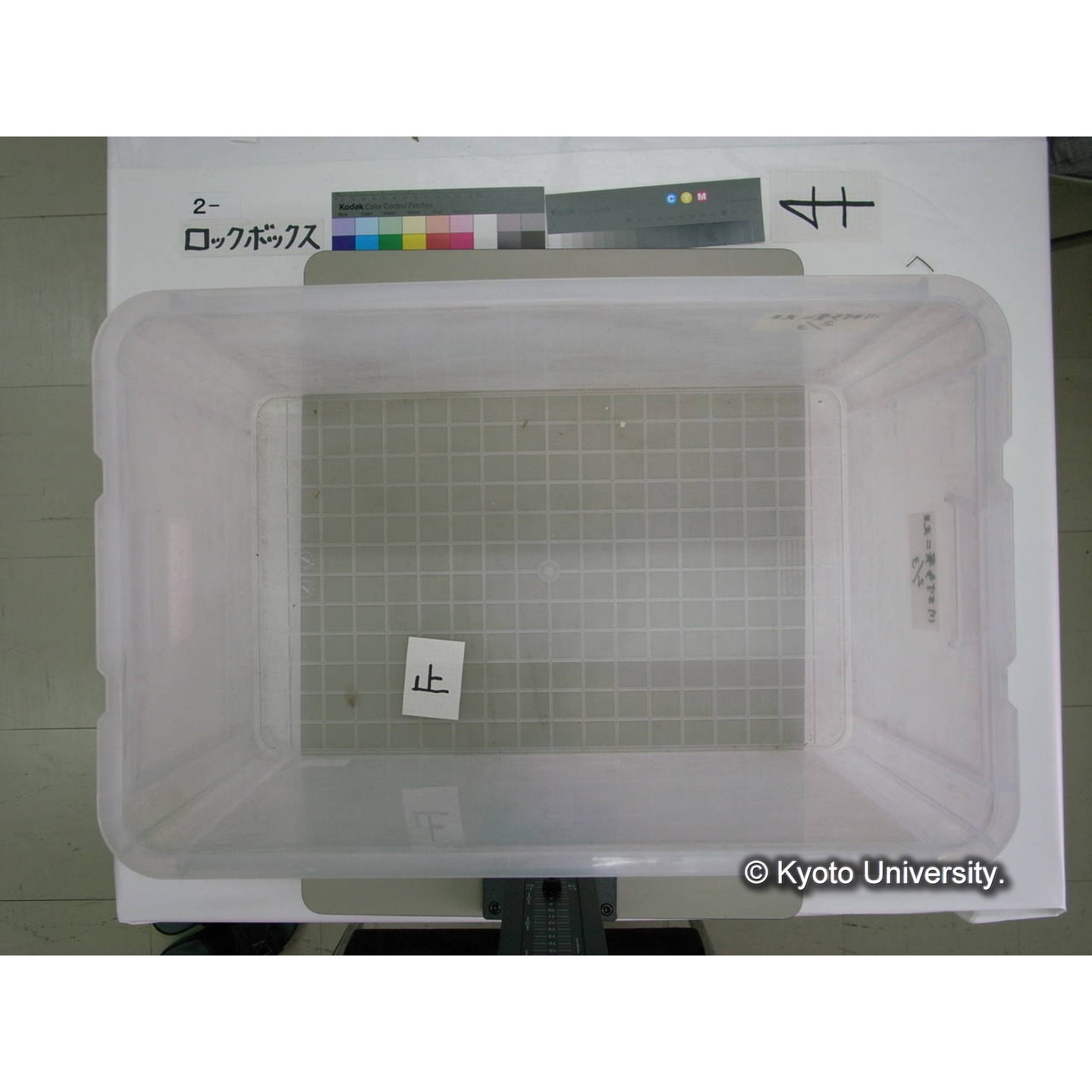 [ロックボックス](側面 : ラベル「川村多實二先生 / 2/3」2枚) (11)