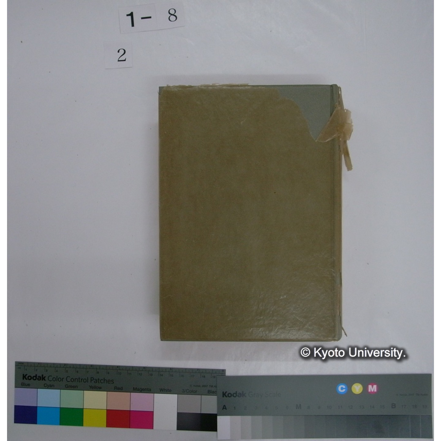 吉田博士祝賀記念誌　欧文編 / 大阪博物学会 (9)