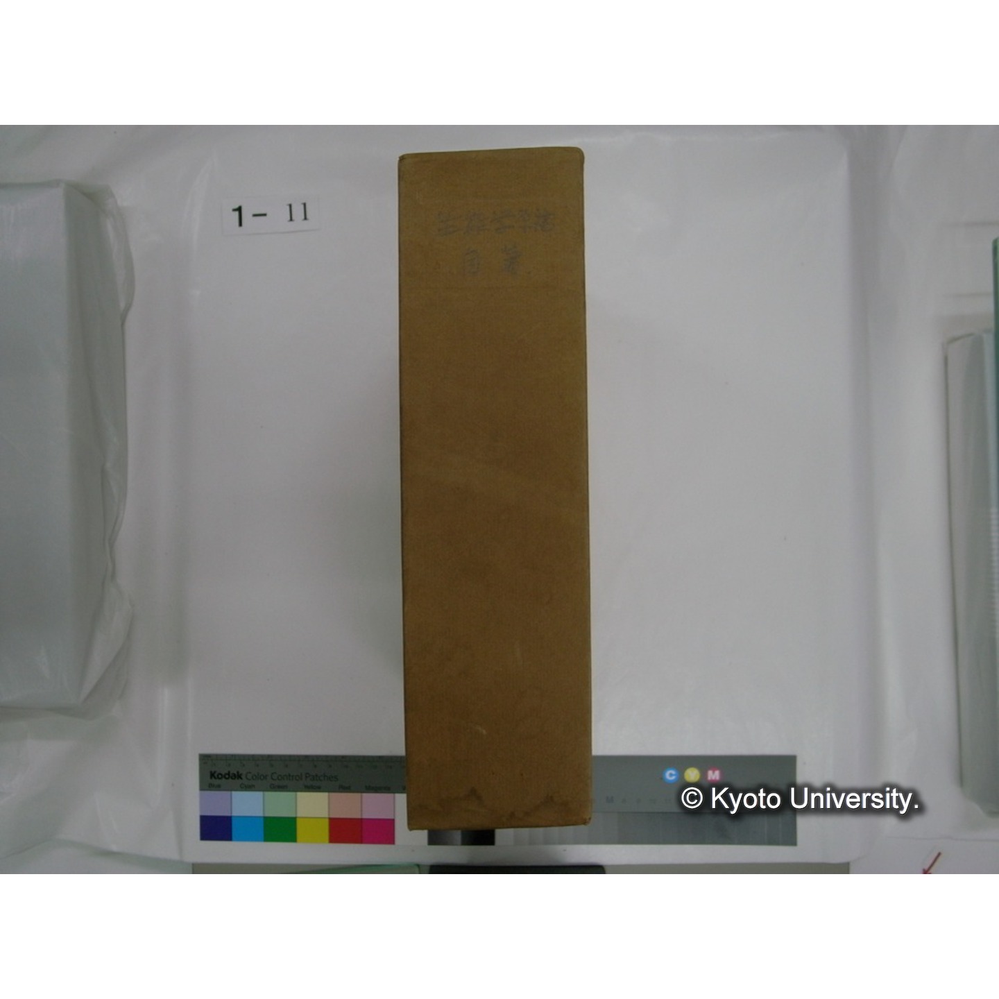 生態学原稿自著 [直筆原稿]/ (川村多實二) (2)