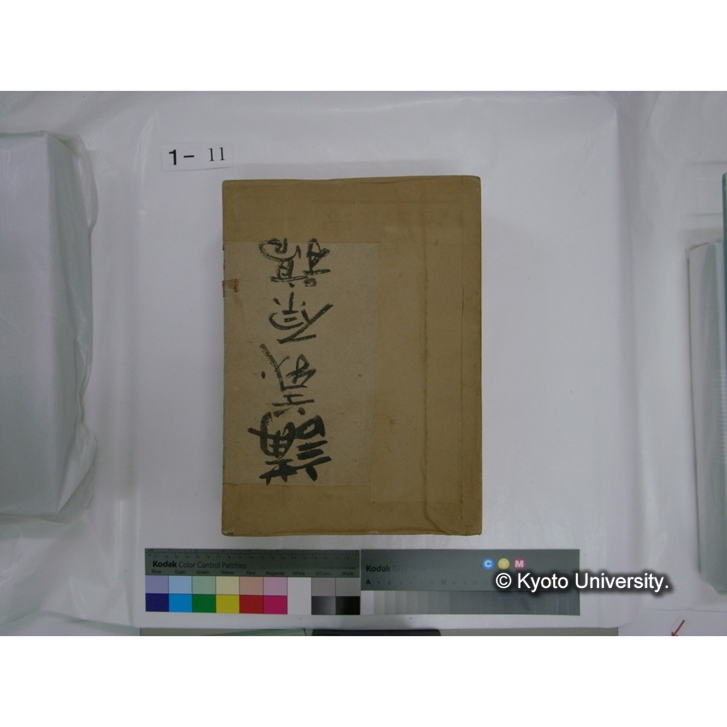 生態学原稿自著 [直筆原稿]/ (川村多實二) (3)