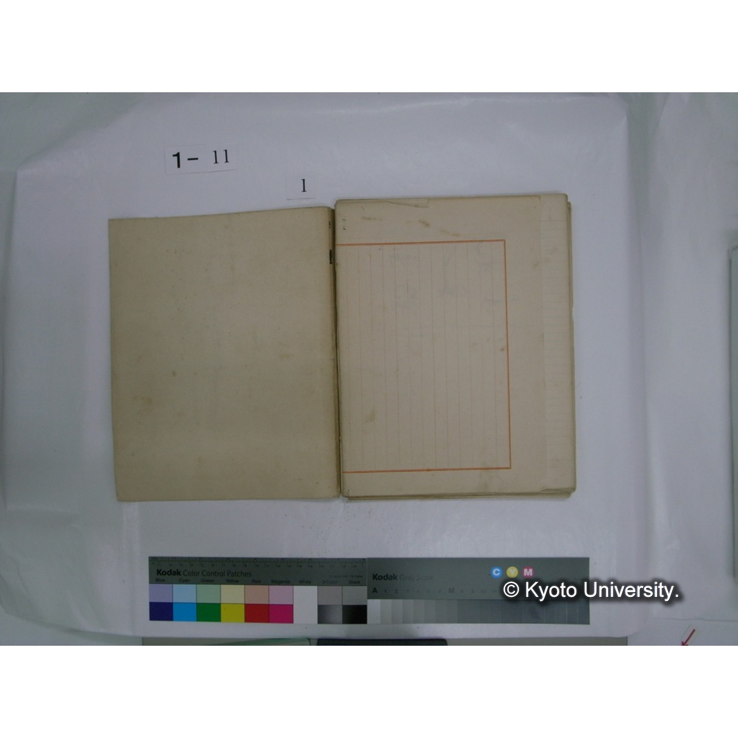 生態学原稿自著 [直筆原稿]/ (川村多實二) (6)