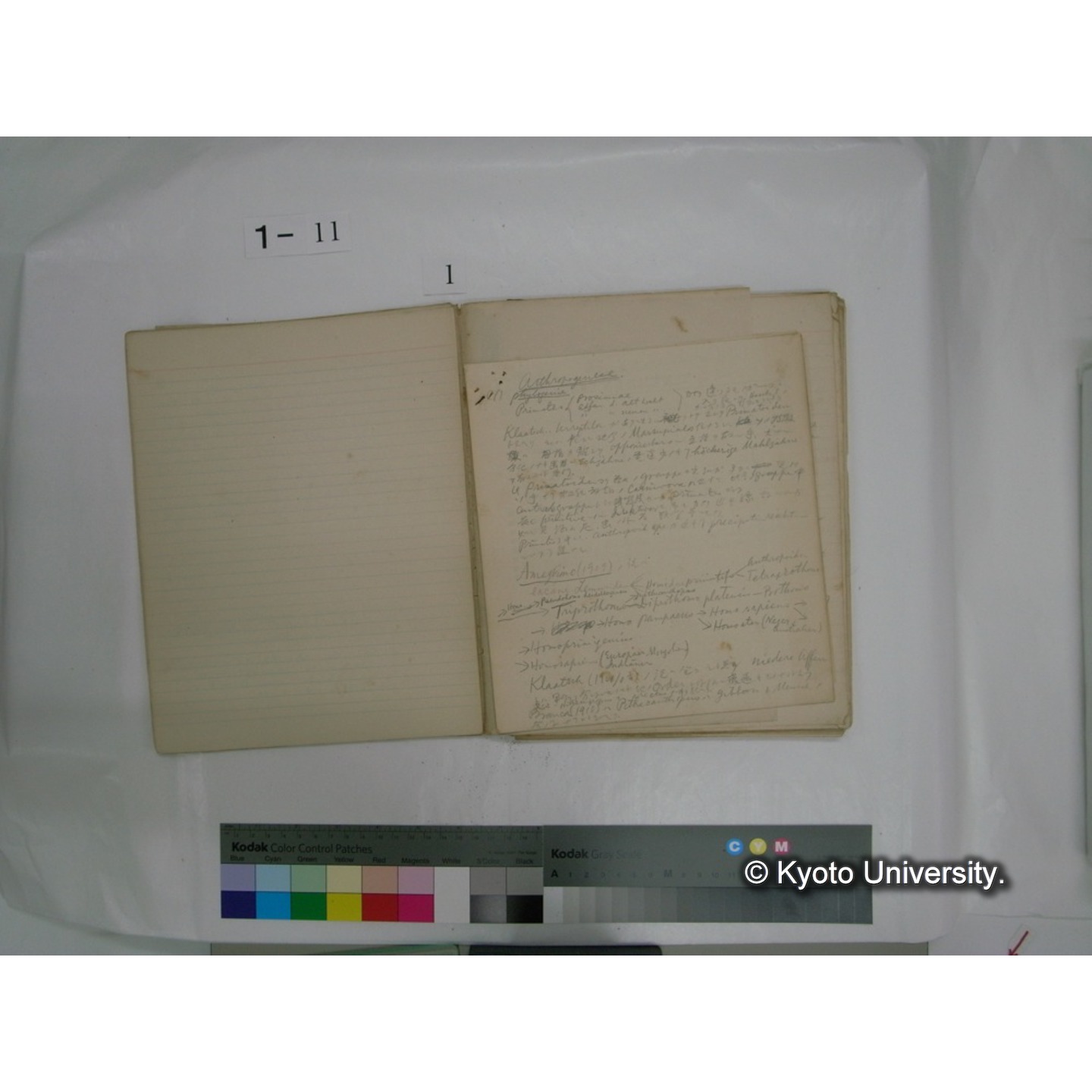 生態学原稿自著 [直筆原稿]/ (川村多實二) (9)