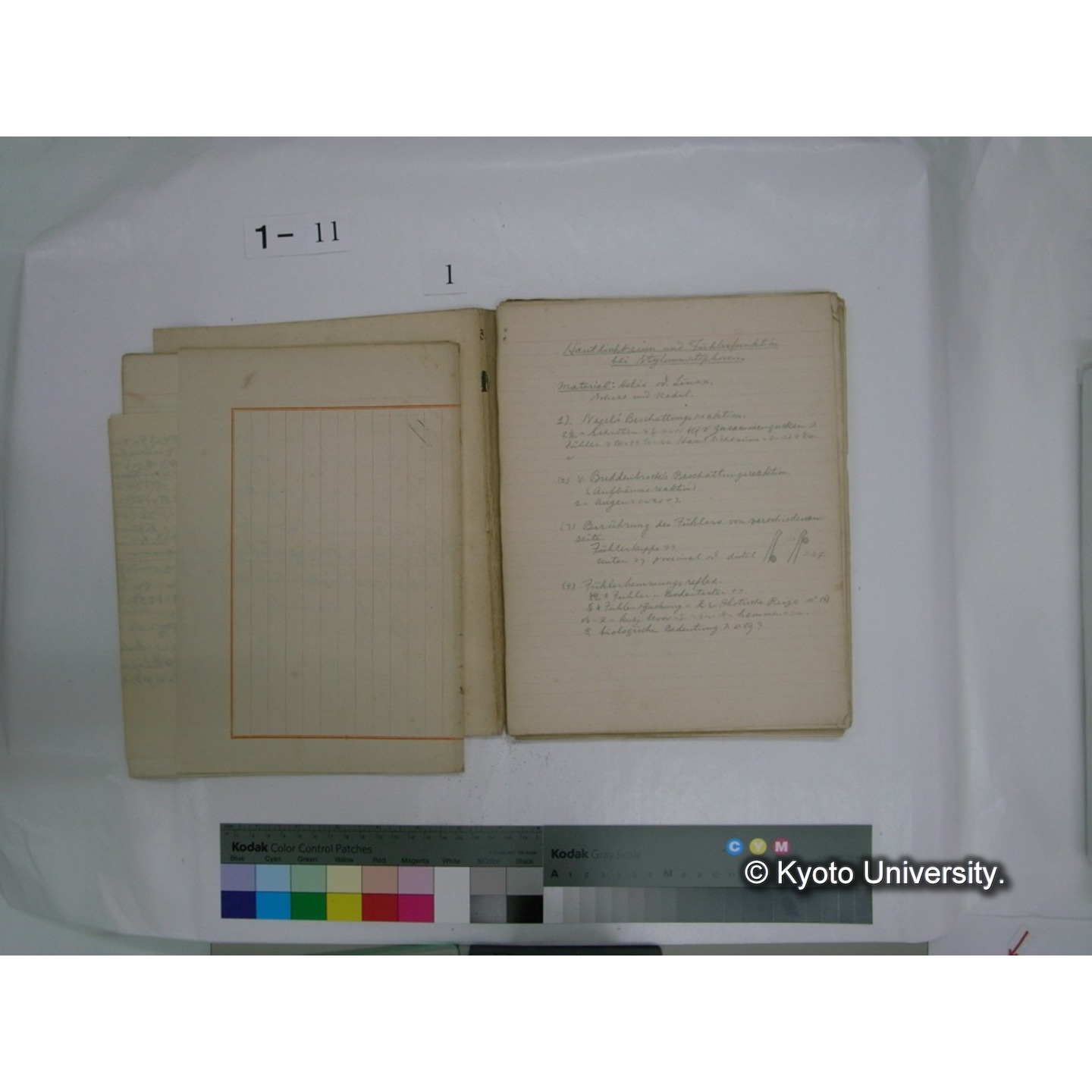 生態学原稿自著 [直筆原稿]/ (川村多實二) (10)