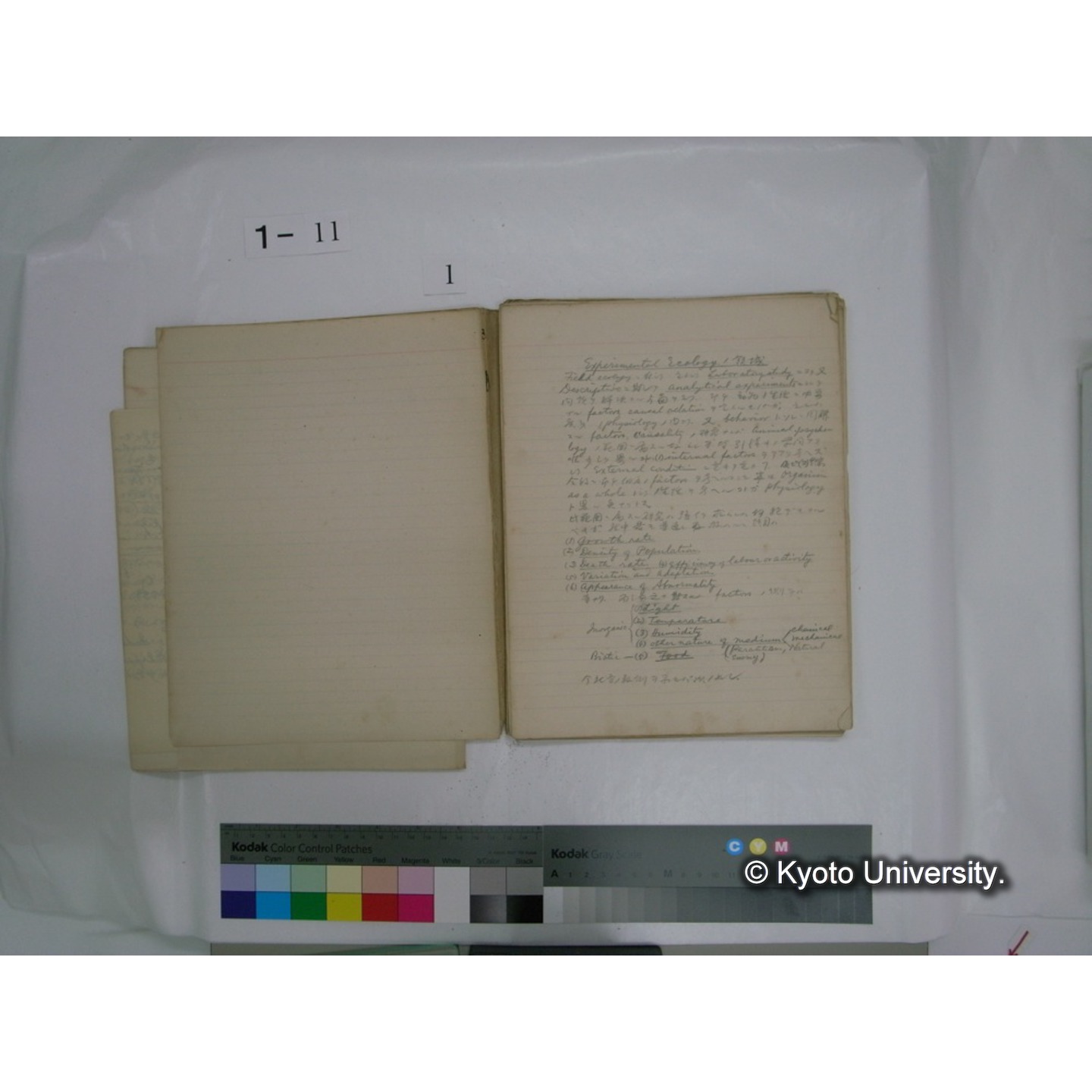 生態学原稿自著 [直筆原稿]/ (川村多實二) (11)