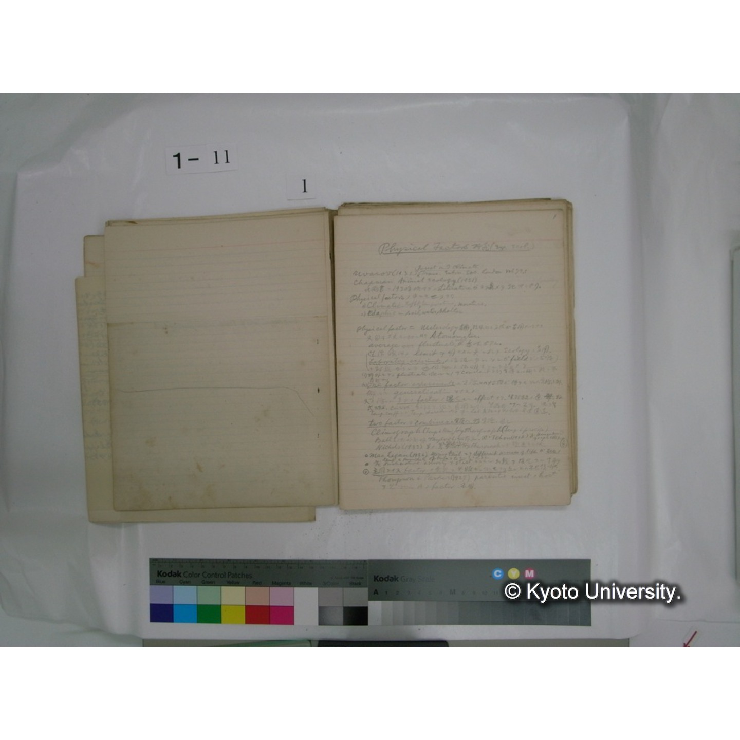 生態学原稿自著 [直筆原稿]/ (川村多實二) (12)