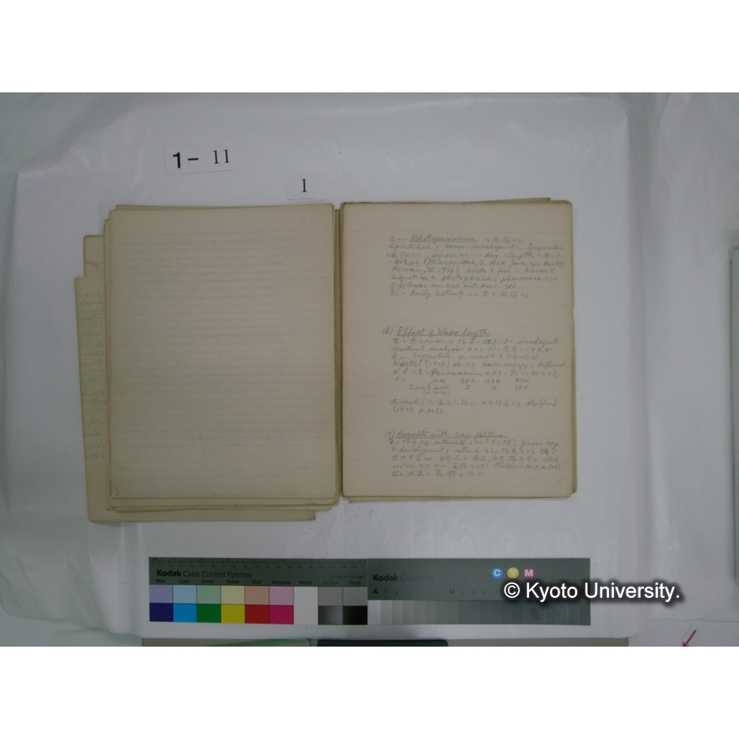 生態学原稿自著 [直筆原稿]/ (川村多實二) (14)