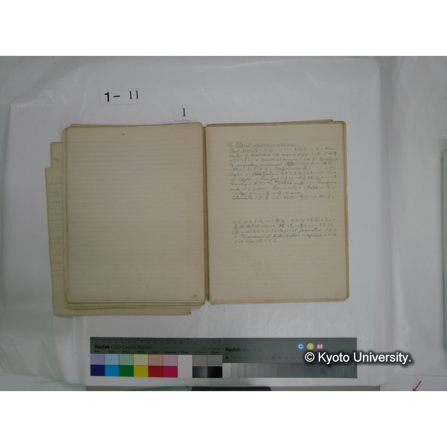 生態学原稿自著 [直筆原稿]/ (川村多實二) (15)