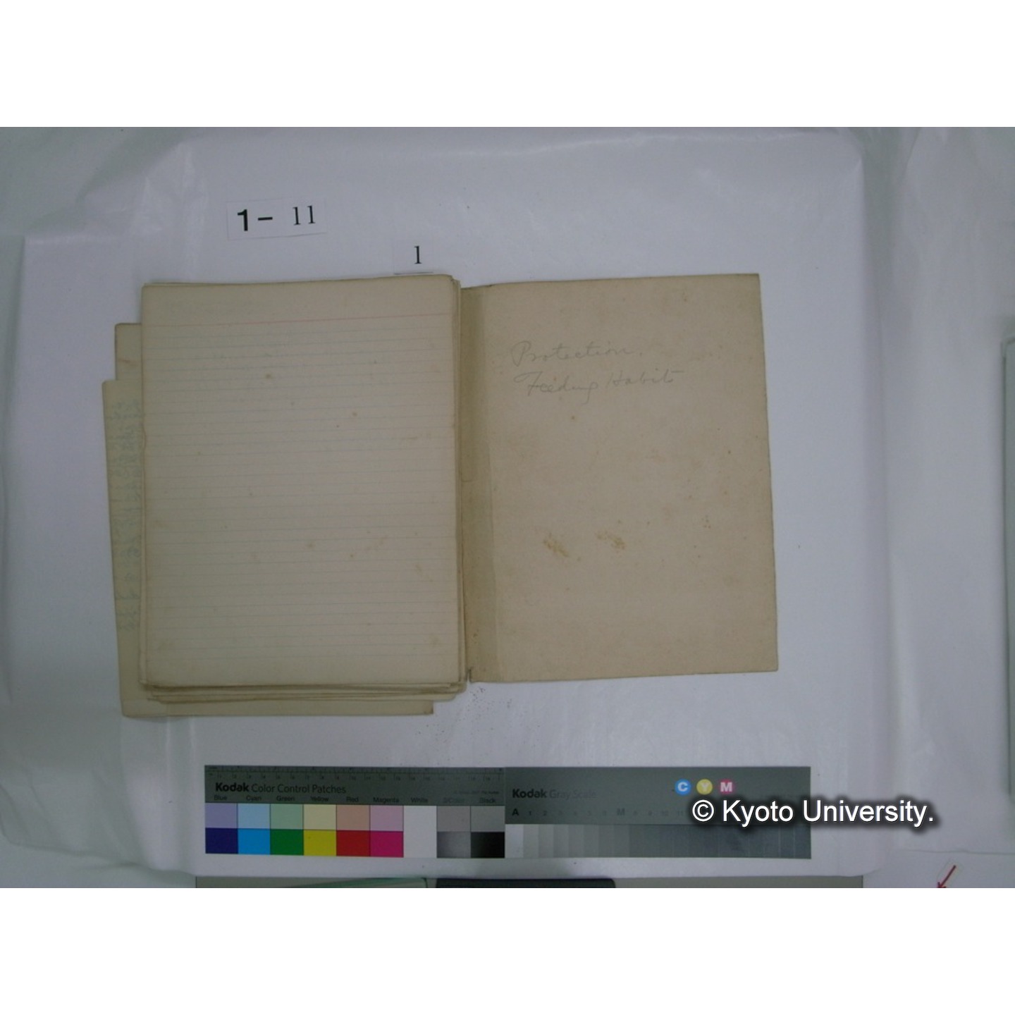 生態学原稿自著 [直筆原稿]/ (川村多實二) (17)