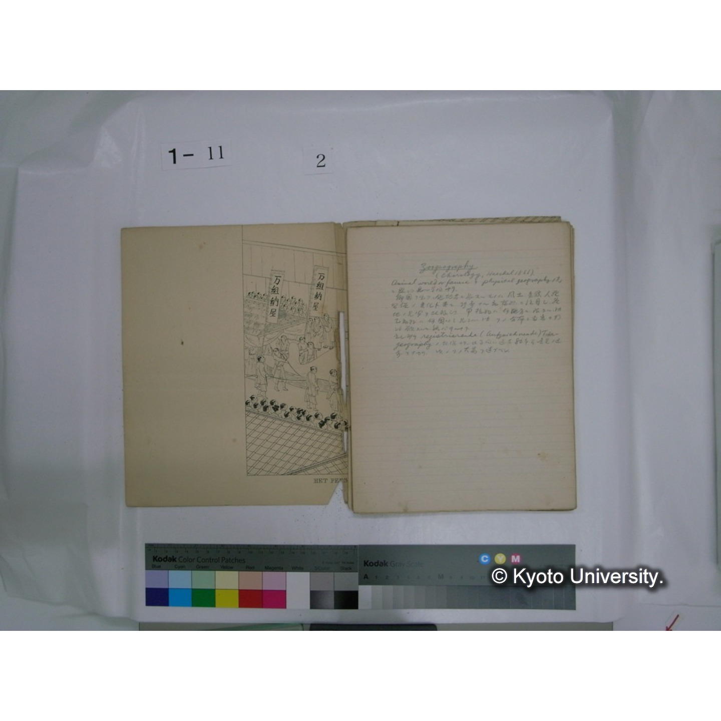 生態学原稿自著 [直筆原稿]/ (川村多實二) (20)