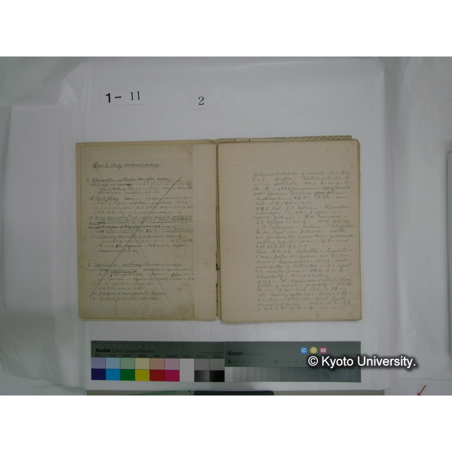 生態学原稿自著 [直筆原稿]/ (川村多實二) (21)