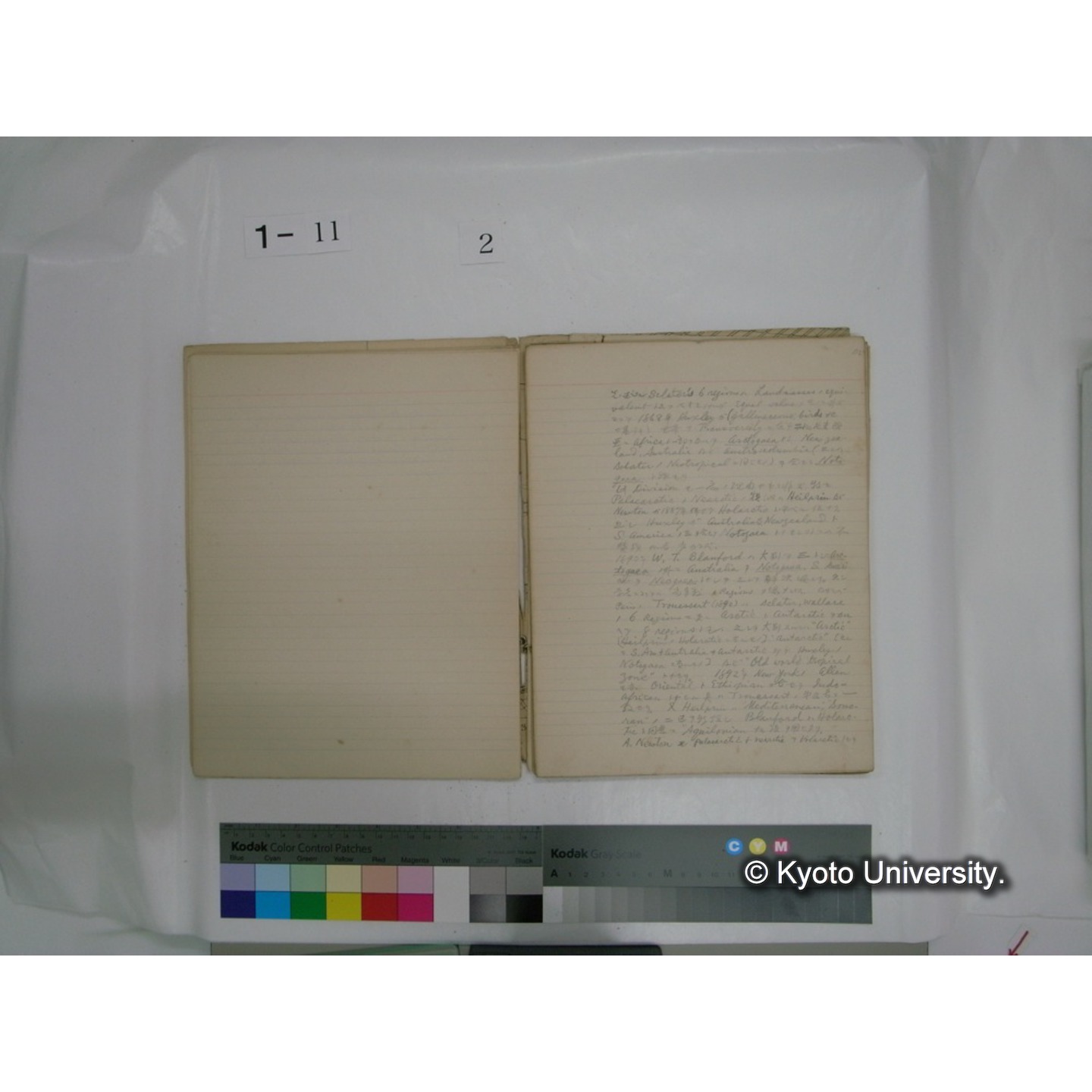 生態学原稿自著 [直筆原稿]/ (川村多實二) (22)