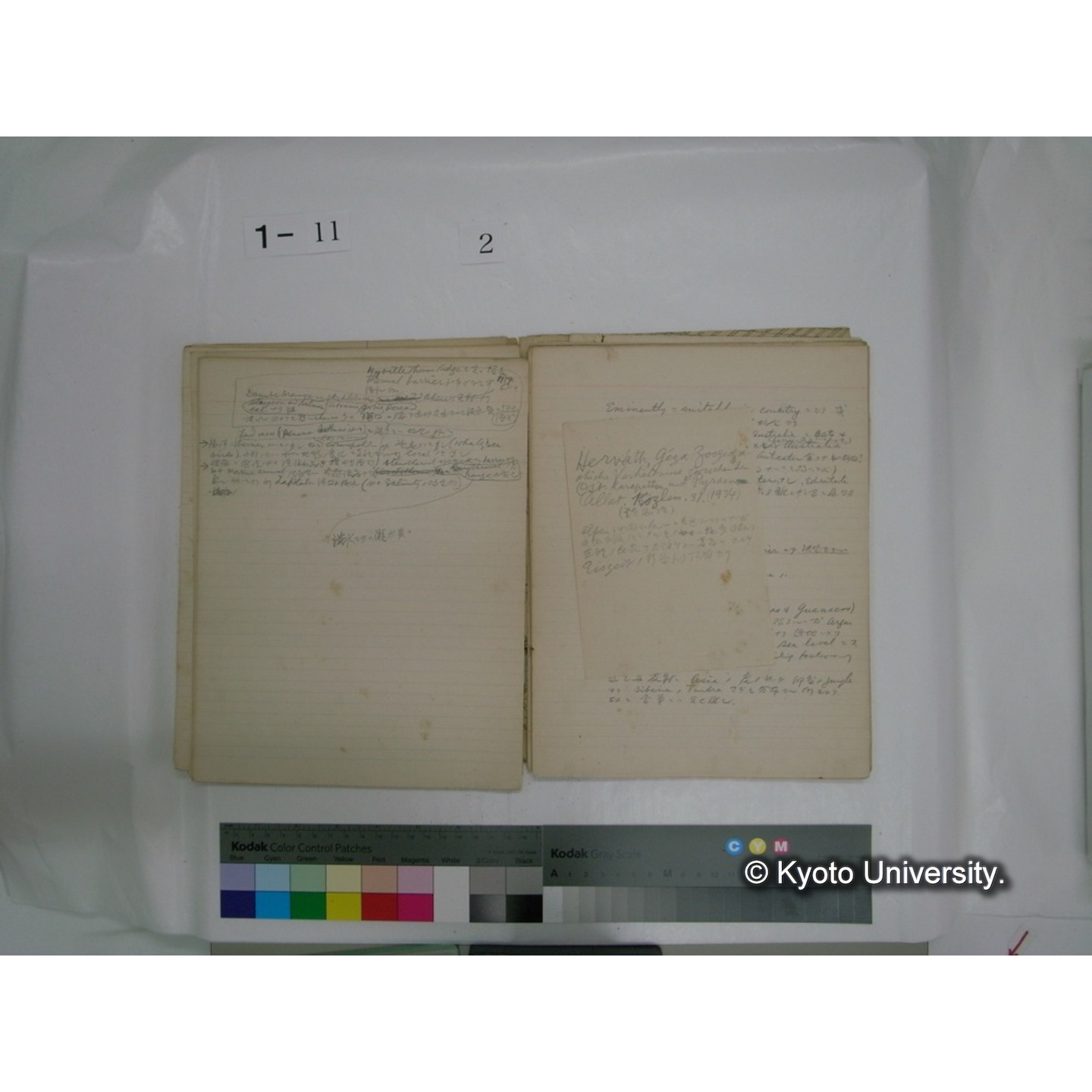 生態学原稿自著 [直筆原稿]/ (川村多實二) (24)