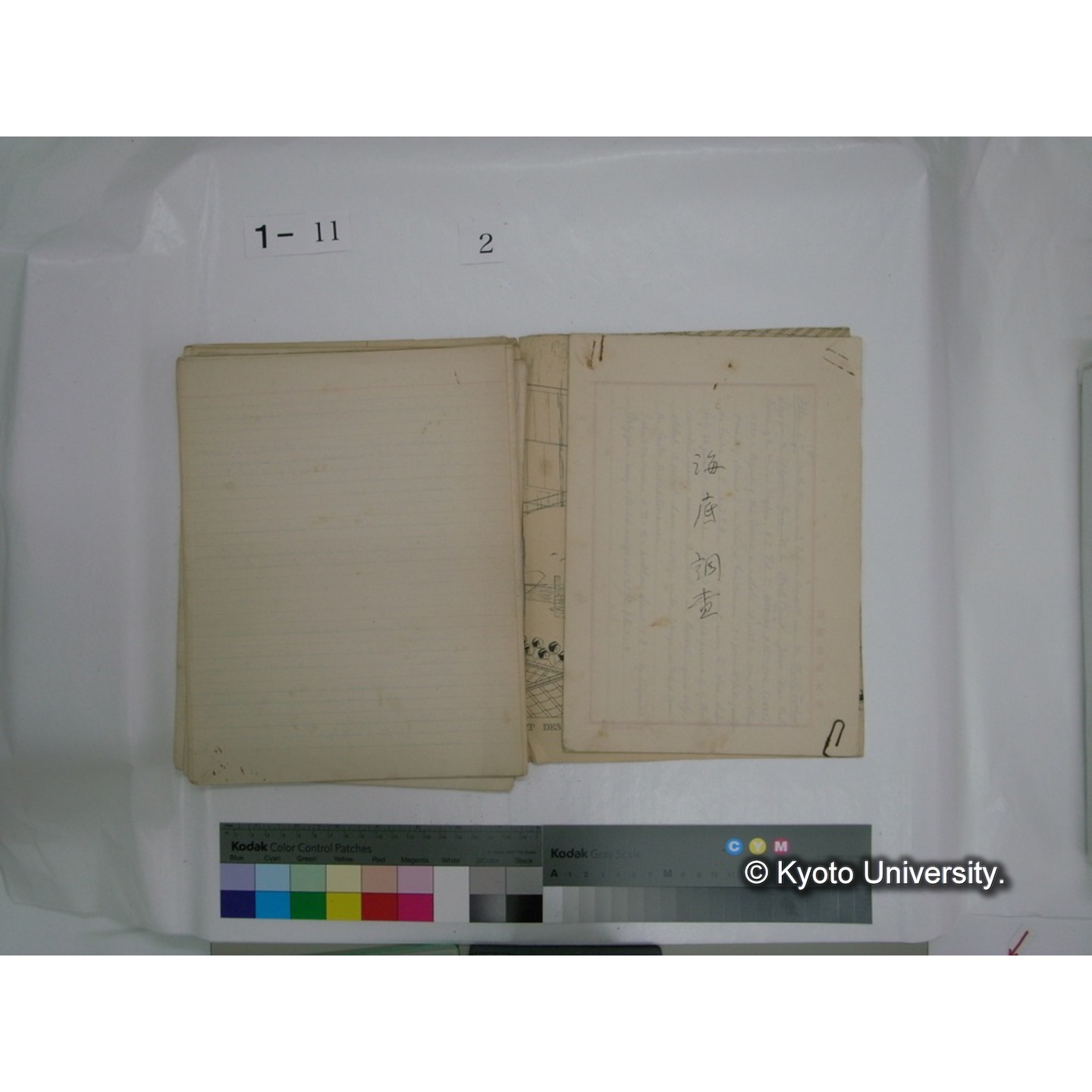 生態学原稿自著 [直筆原稿]/ (川村多實二) (25)