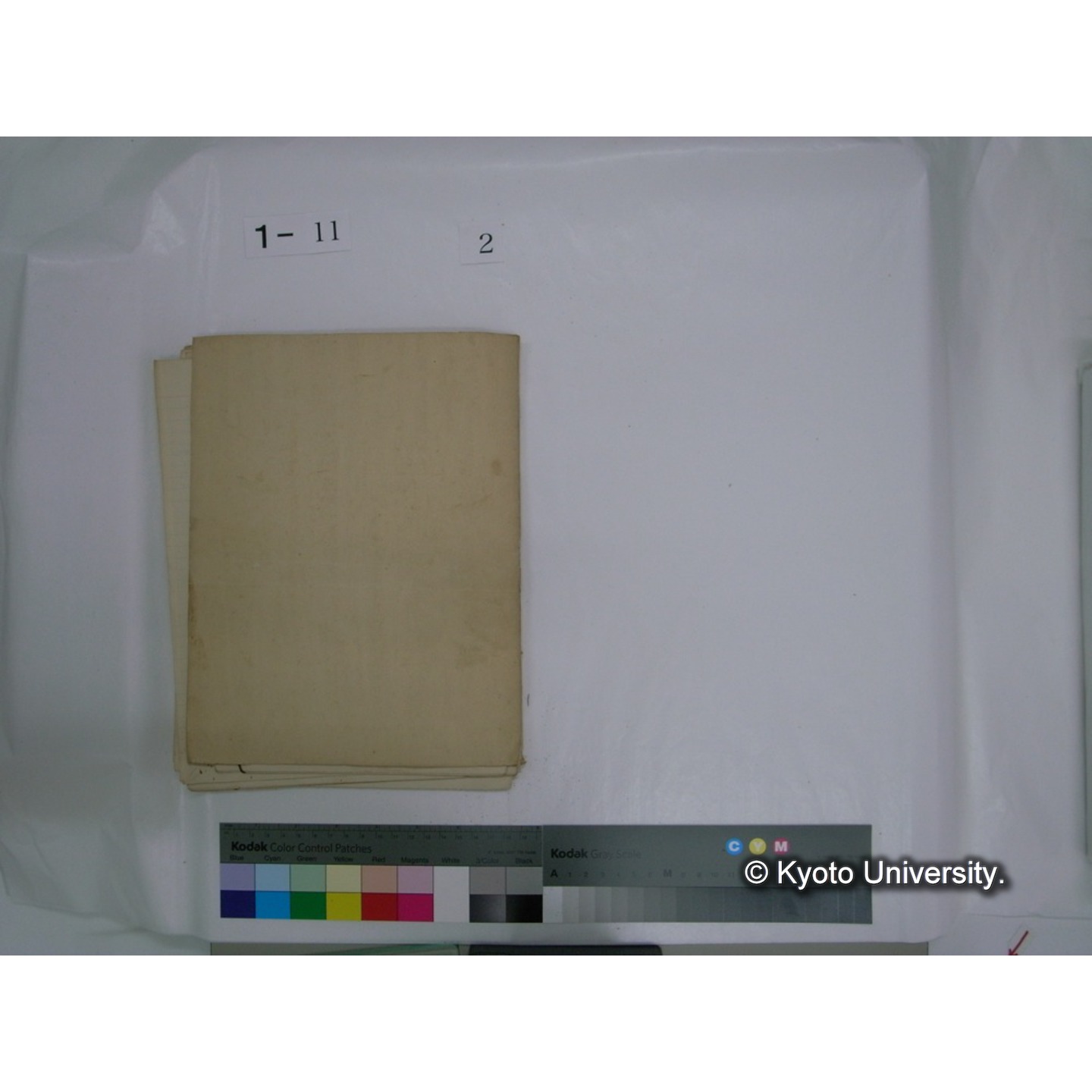 生態学原稿自著 [直筆原稿]/ (川村多實二) (27)