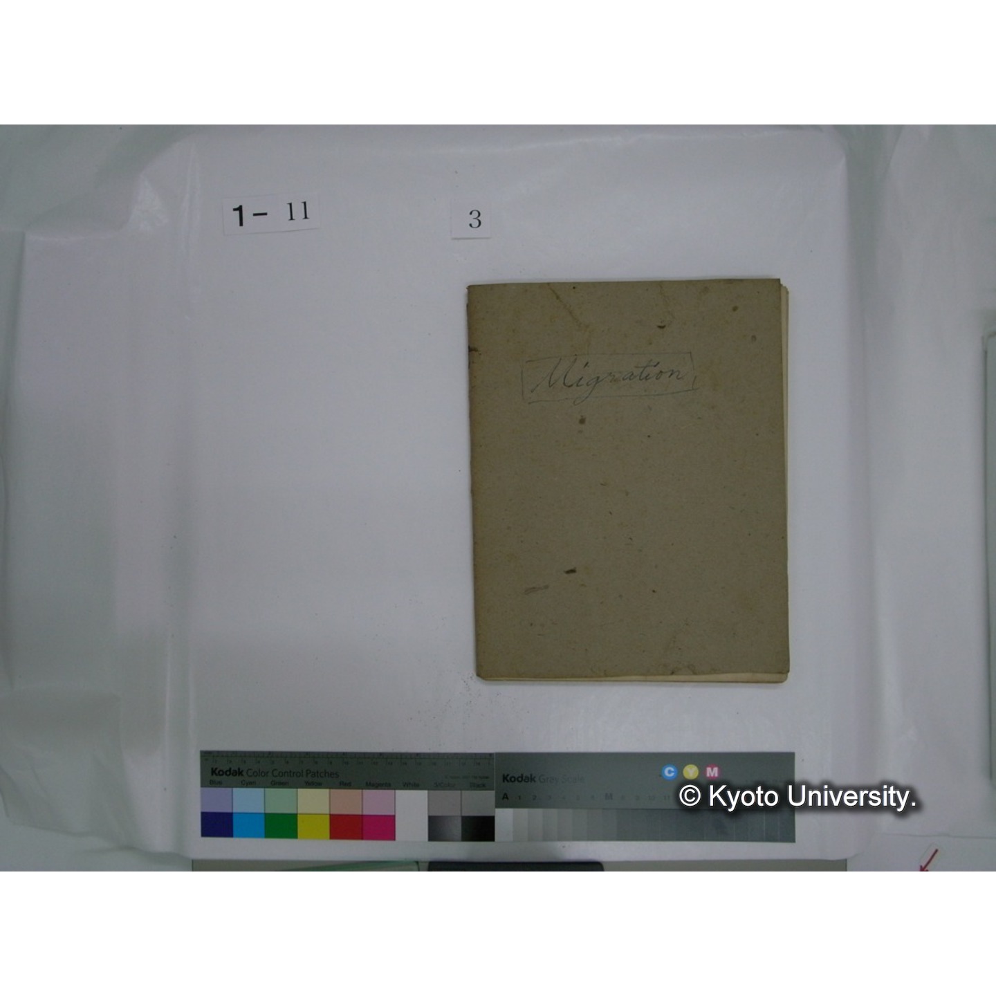 生態学原稿自著 [直筆原稿]/ (川村多實二) (28)