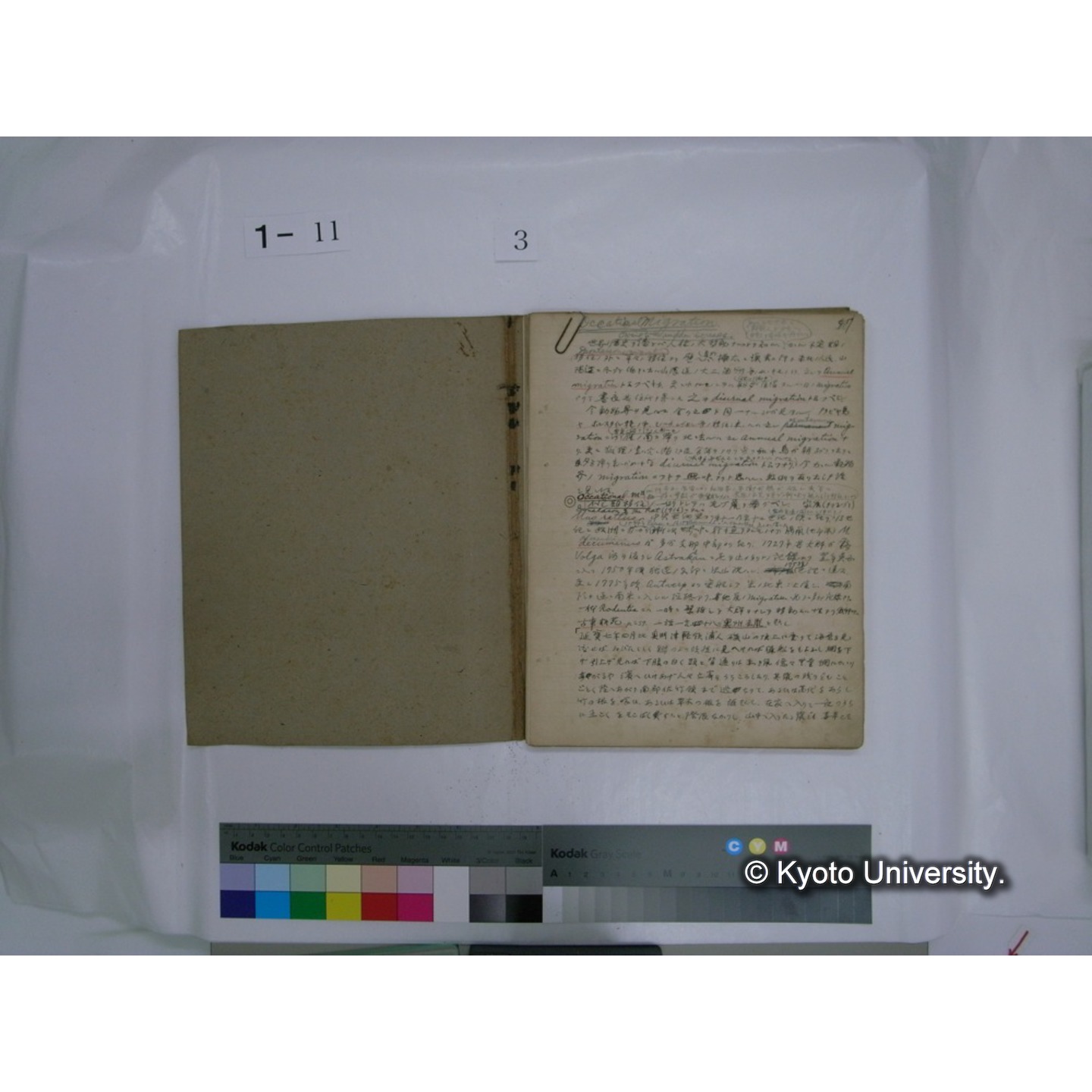 生態学原稿自著 [直筆原稿]/ (川村多實二) (29)