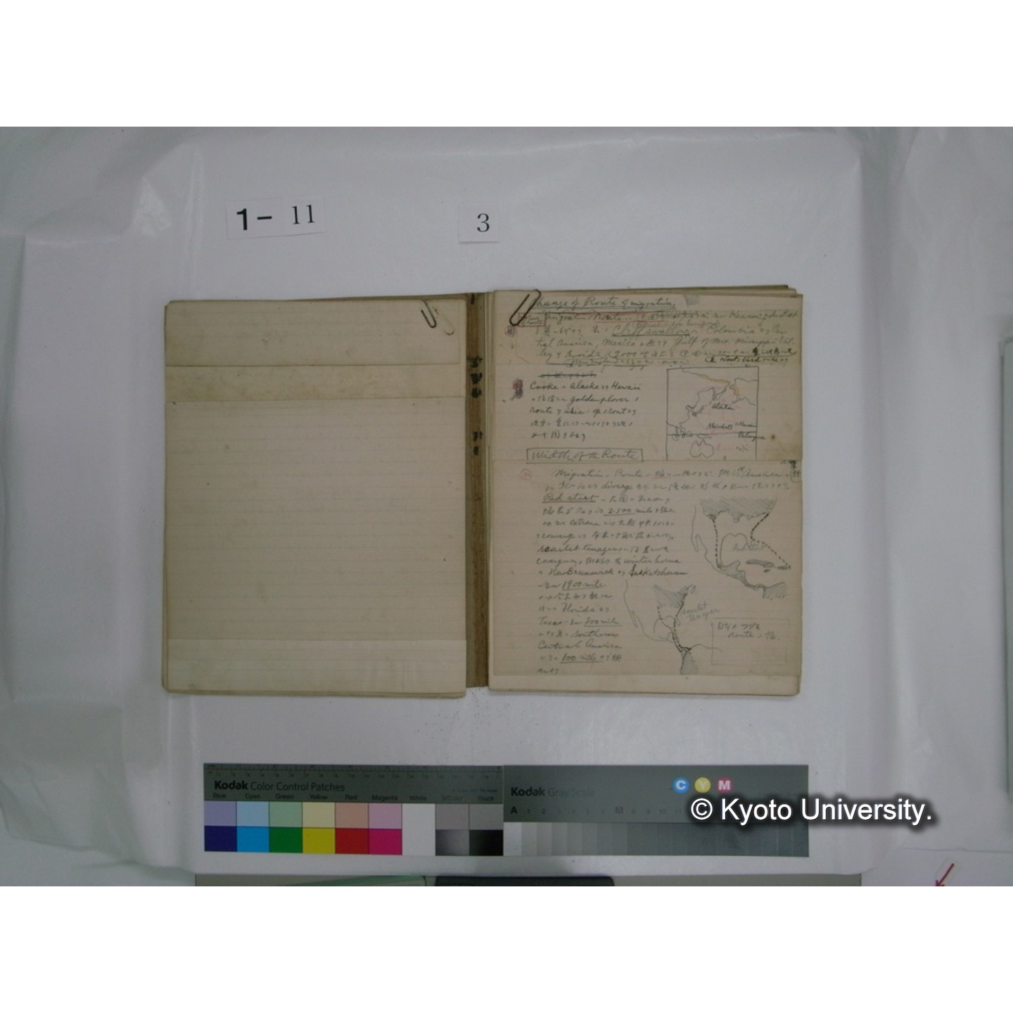 生態学原稿自著 [直筆原稿]/ (川村多實二) (30)