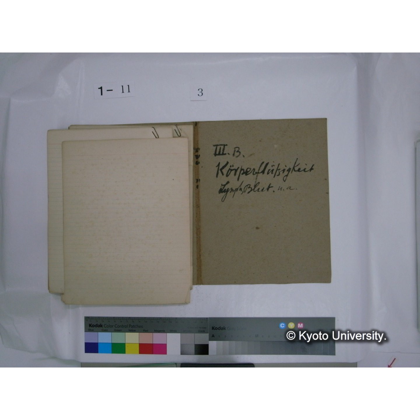 生態学原稿自著 [直筆原稿]/ (川村多實二) (33)