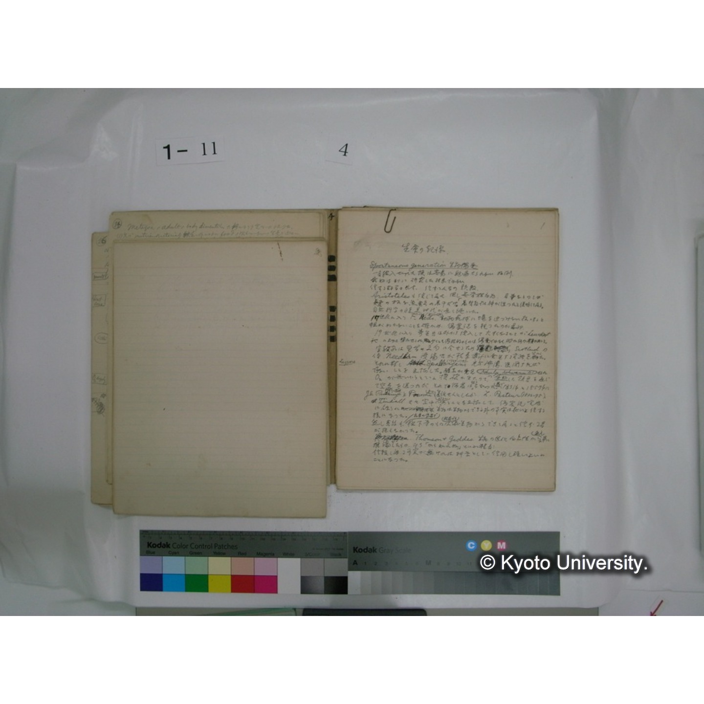 生態学原稿自著 [直筆原稿]/ (川村多實二) (42)