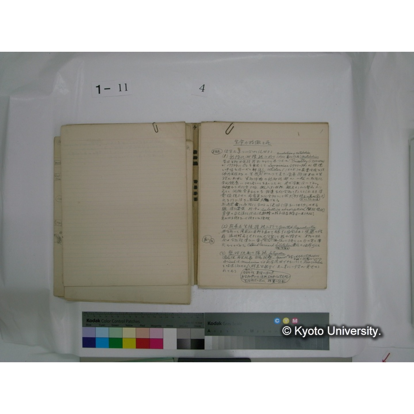 生態学原稿自著 [直筆原稿]/ (川村多實二) (43)