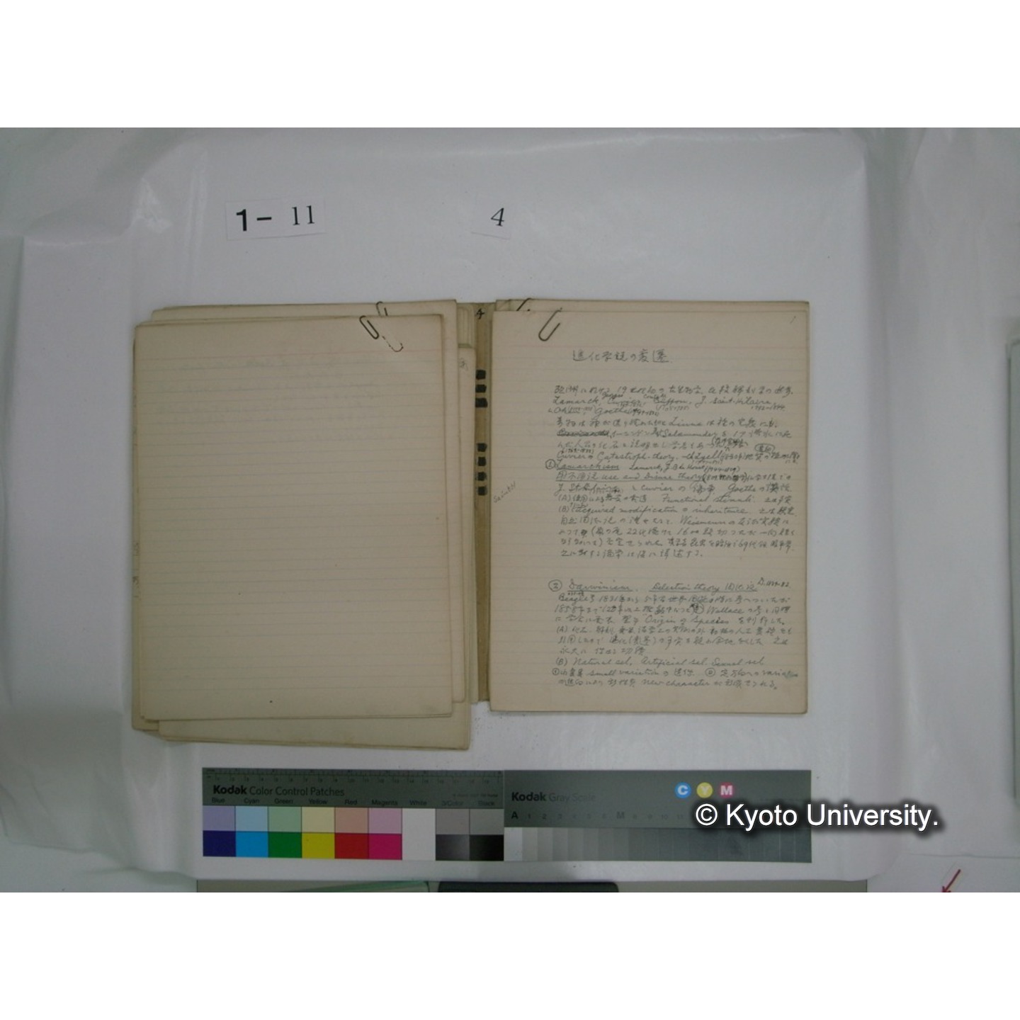 生態学原稿自著 [直筆原稿]/ (川村多實二) (44)