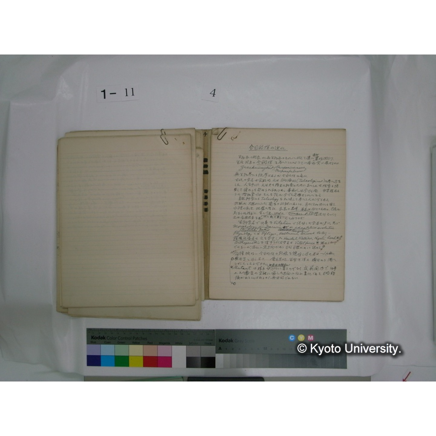 生態学原稿自著 [直筆原稿]/ (川村多實二) (45)