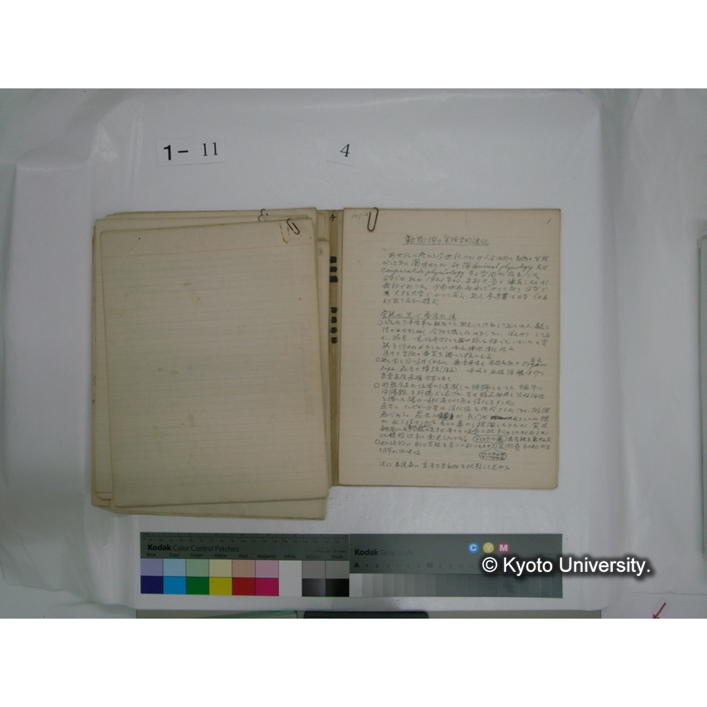 生態学原稿自著 [直筆原稿]/ (川村多實二) (46)