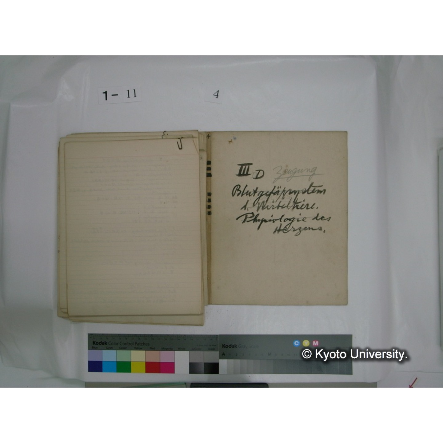 生態学原稿自著 [直筆原稿]/ (川村多實二) (47)