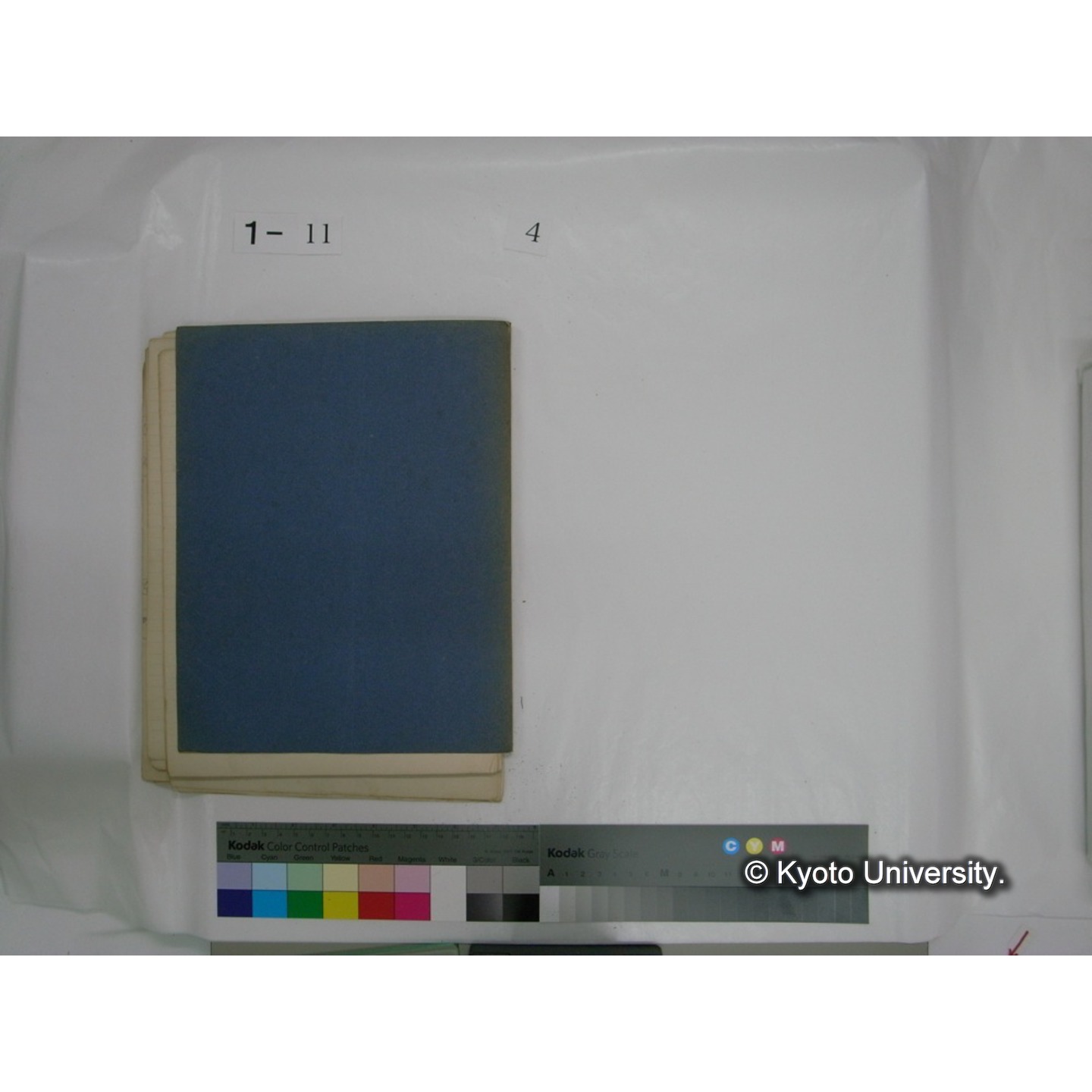 生態学原稿自著 [直筆原稿]/ (川村多實二) (48)