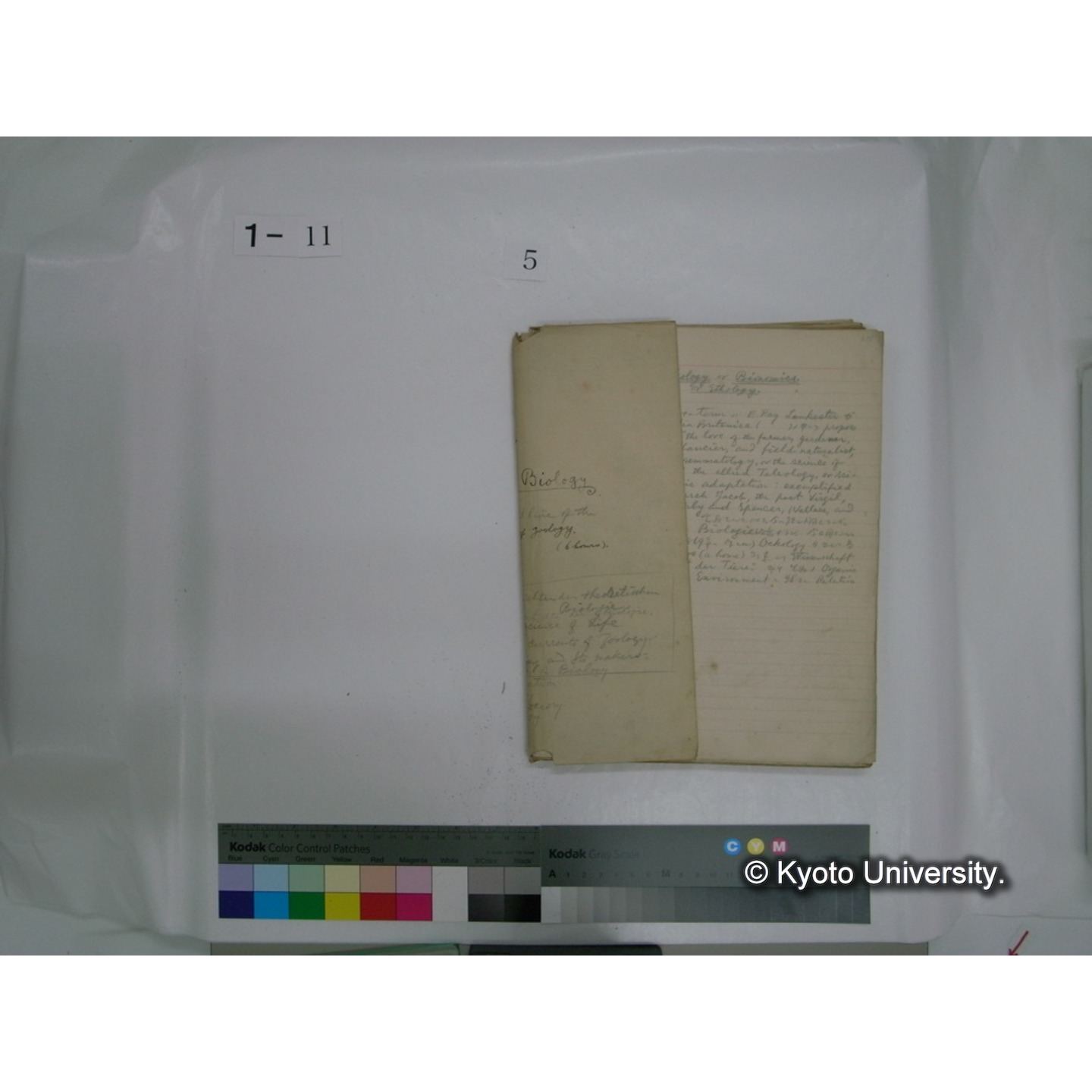 生態学原稿自著 [直筆原稿]/ (川村多實二) (49)