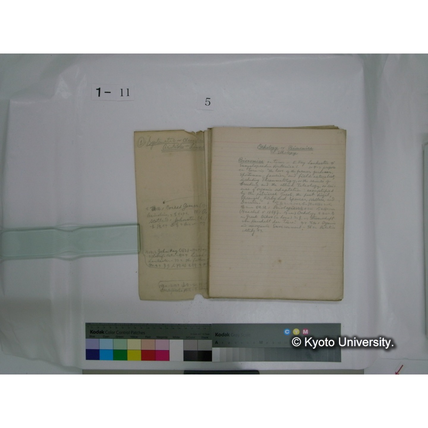 生態学原稿自著 [直筆原稿]/ (川村多實二) (50)