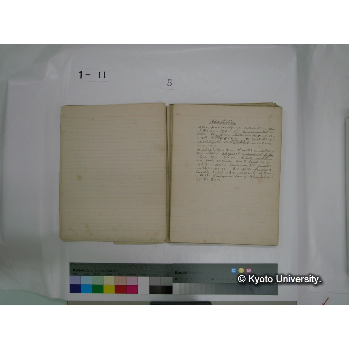 生態学原稿自著 [直筆原稿]/ (川村多實二) (53)