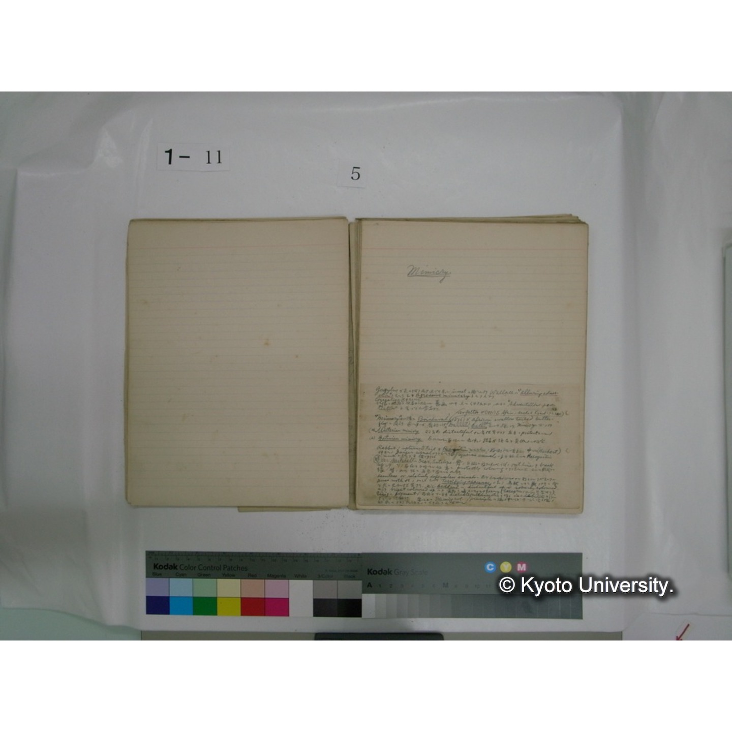 生態学原稿自著 [直筆原稿]/ (川村多實二) (54)