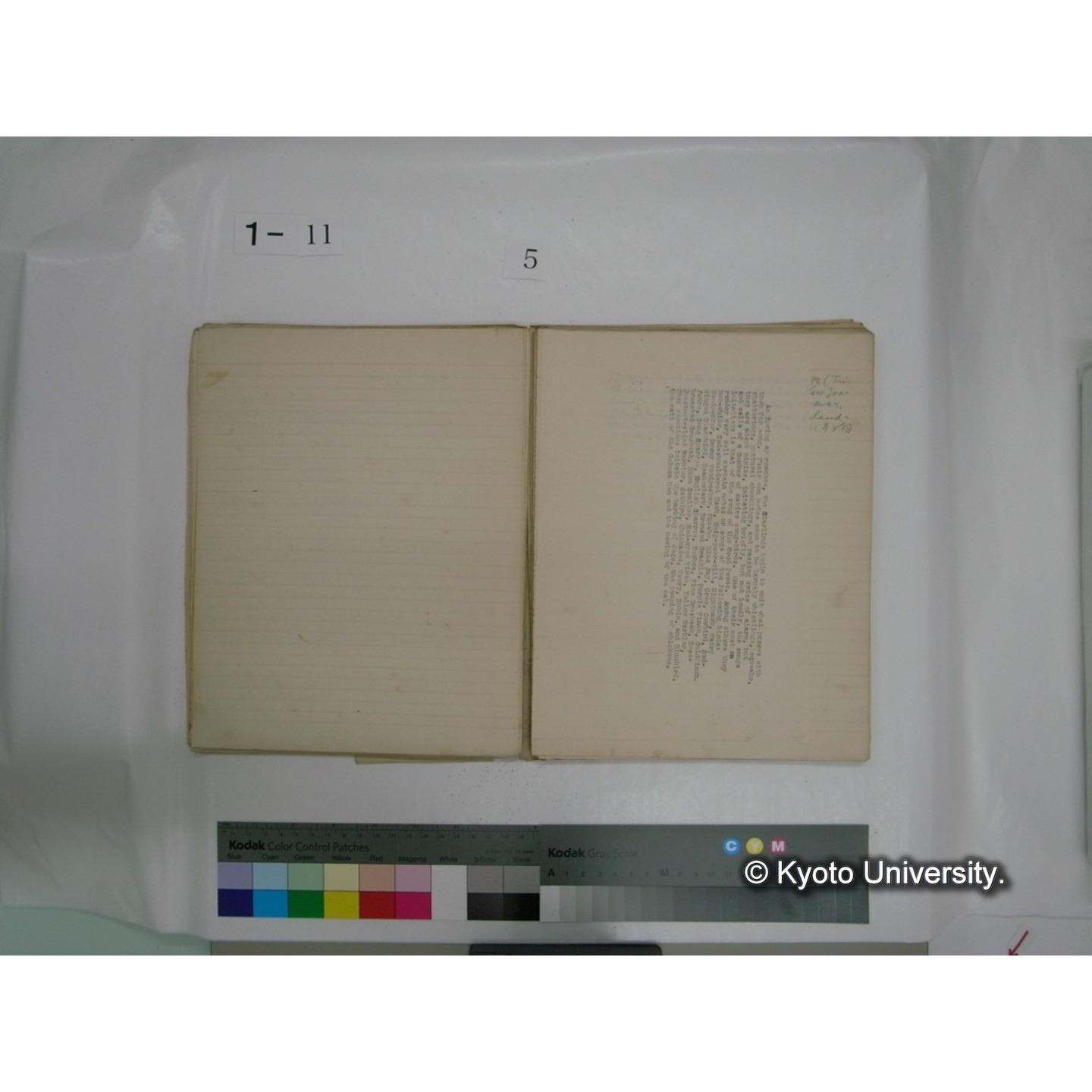 生態学原稿自著 [直筆原稿]/ (川村多實二) (56)