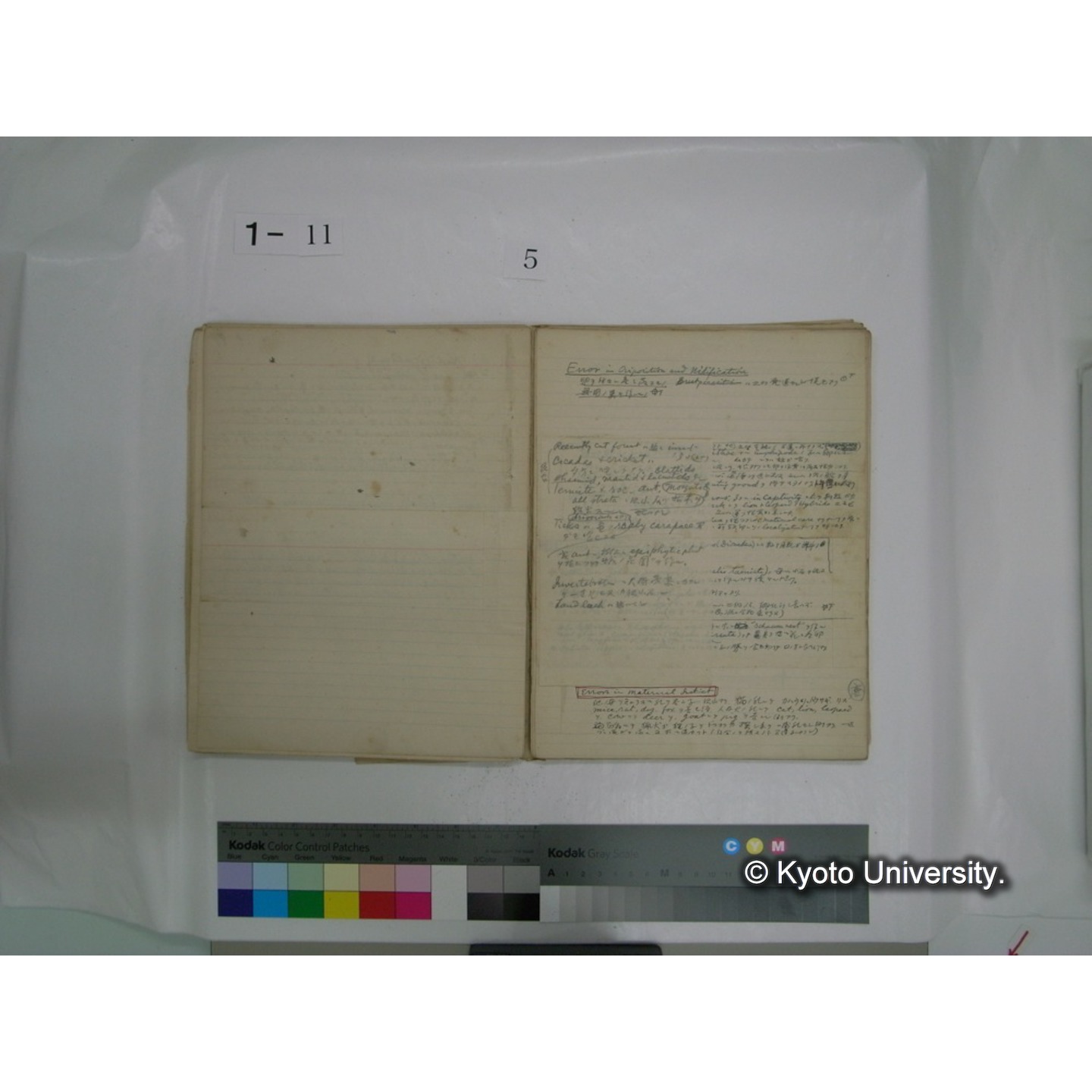 生態学原稿自著 [直筆原稿]/ (川村多實二) (57)