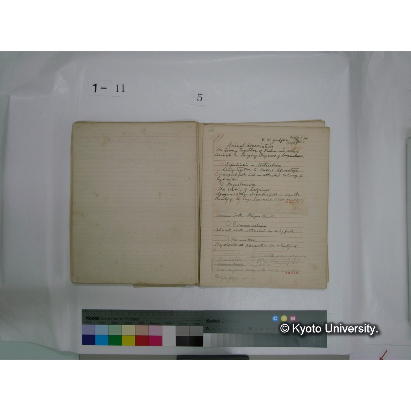 生態学原稿自著 [直筆原稿]/ (川村多實二) (60)